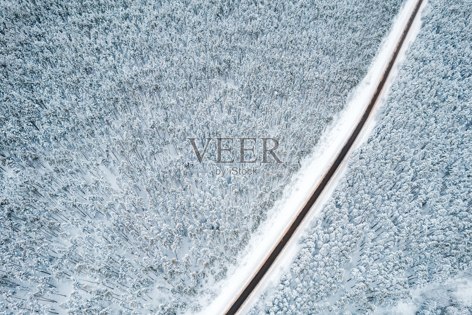 雪中树木间一条黑色道路的俯视图照片摄影图片