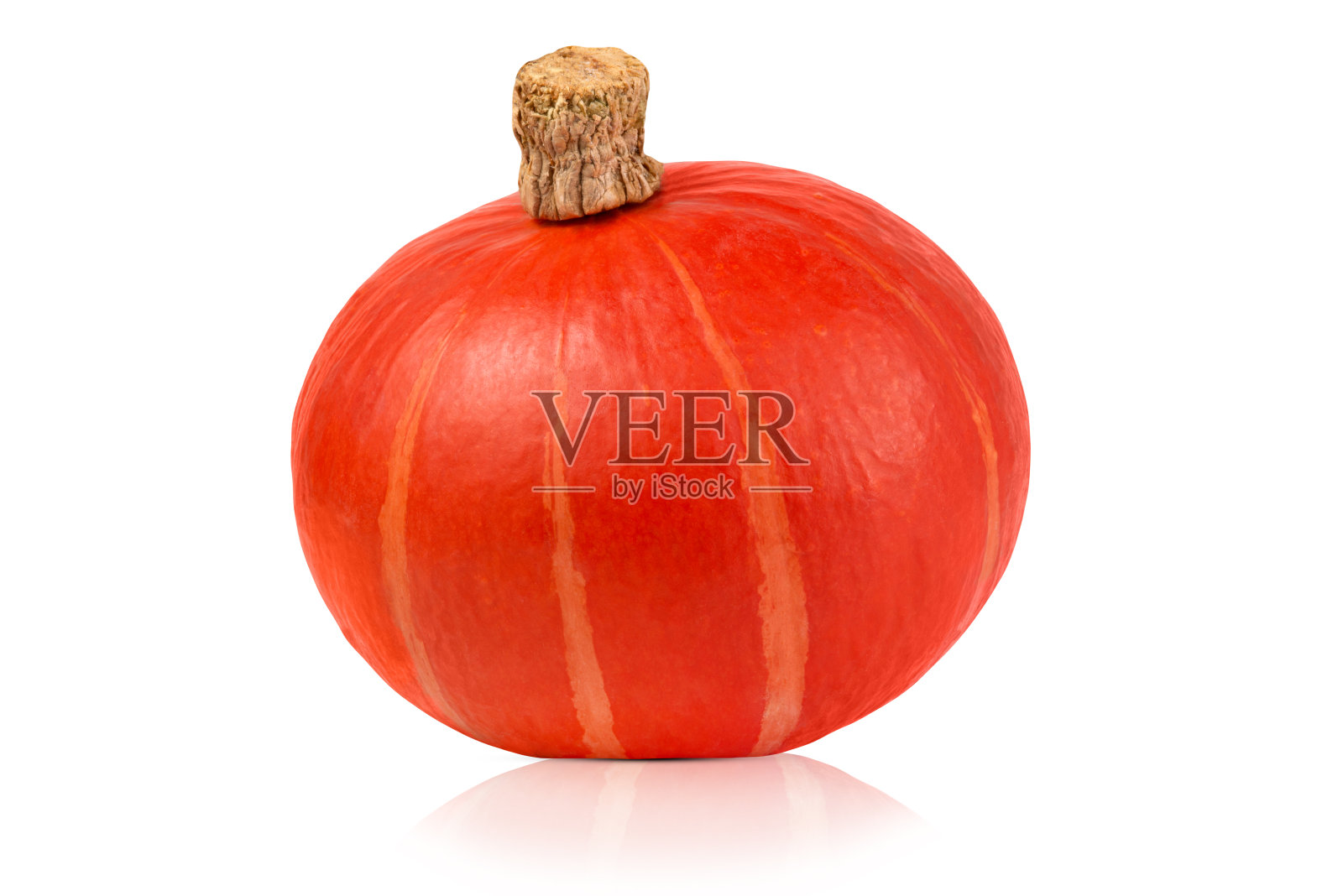 白色背景上孤立的小南瓜。照片摄影图片