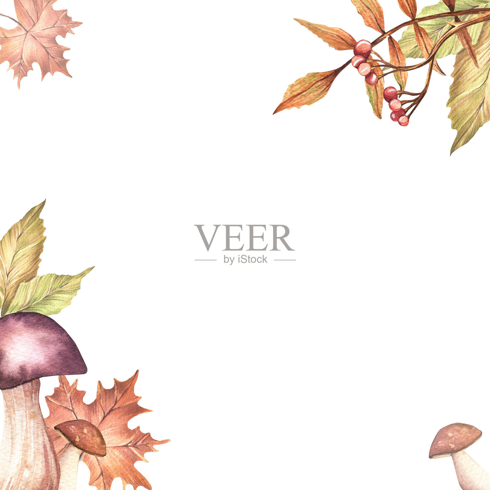 水彩的明信片。插画图片素材