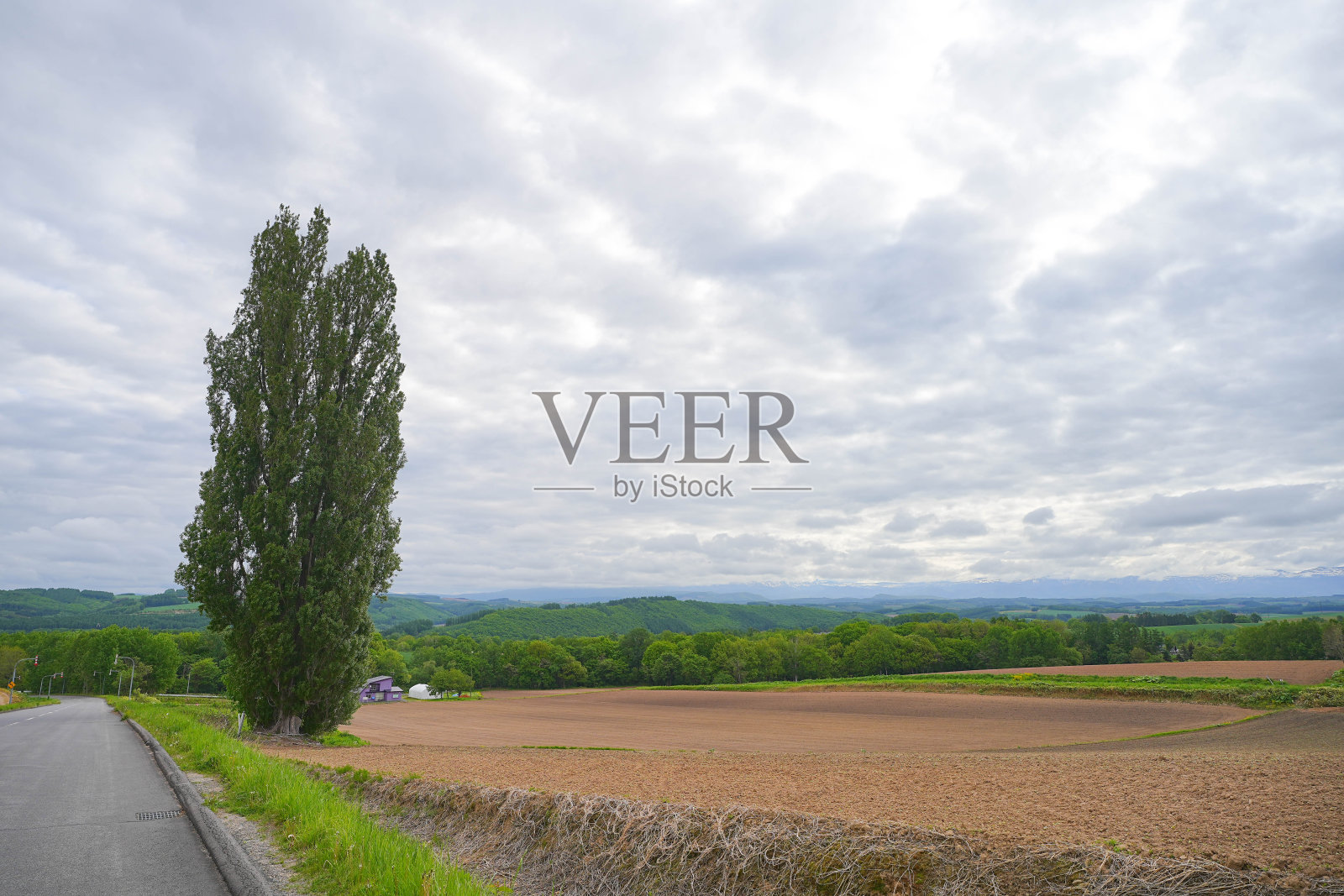 乡村农场的景色照片摄影图片