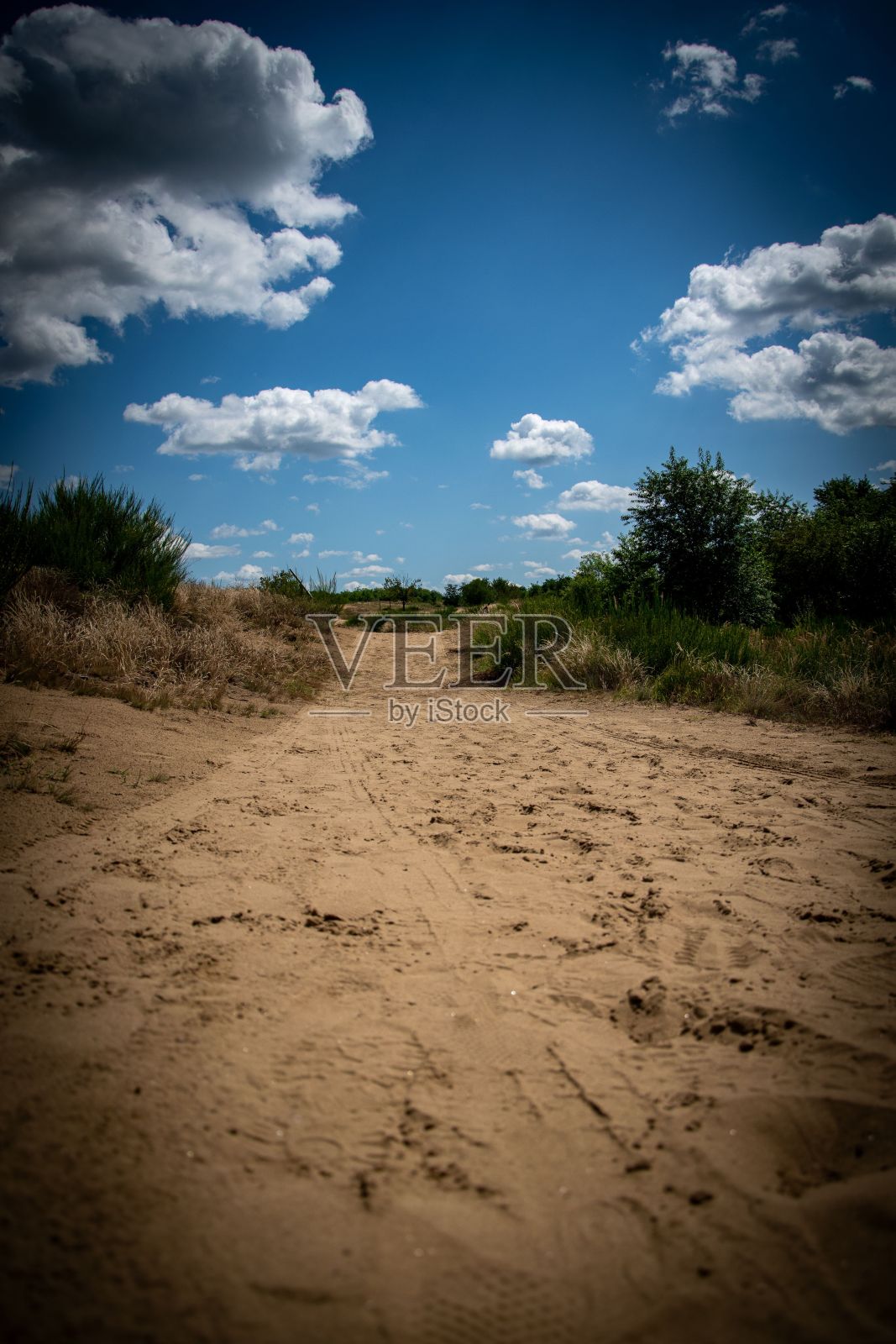 在多云的蓝天下,一条长满绿色植物的土路照片摄影图片