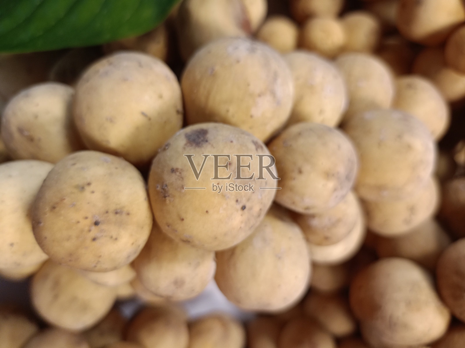 龙岗果、甜泰果、南泰果照片摄影图片