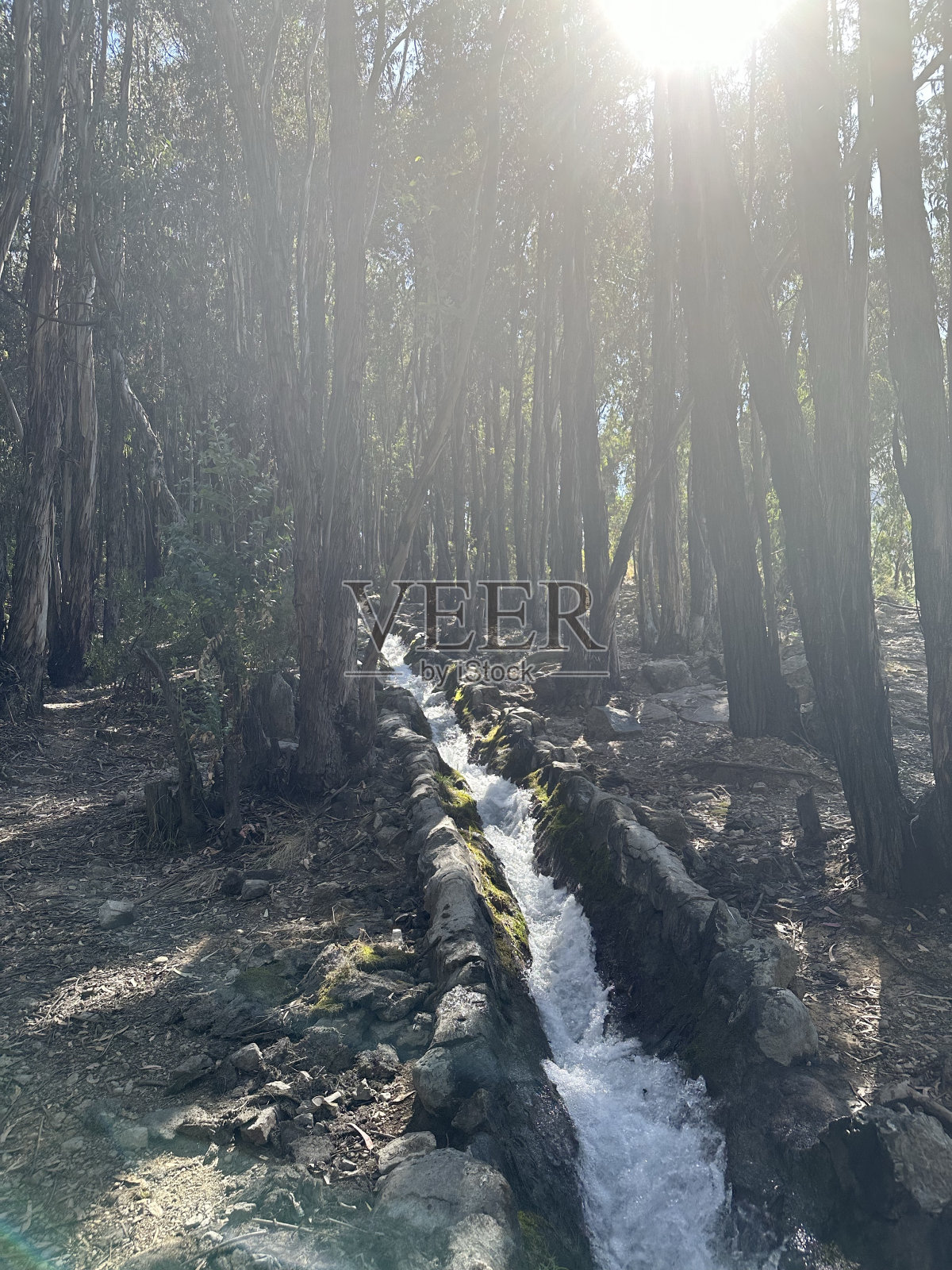 湍急的河流照片摄影图片