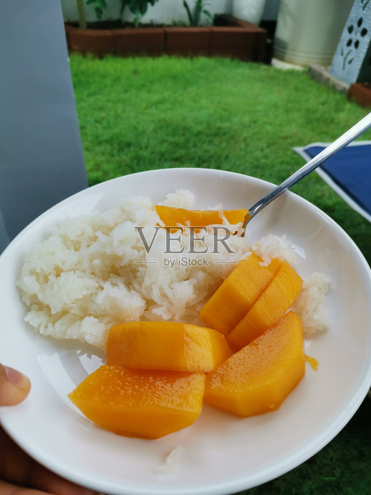 芒果糯米照片摄影图片