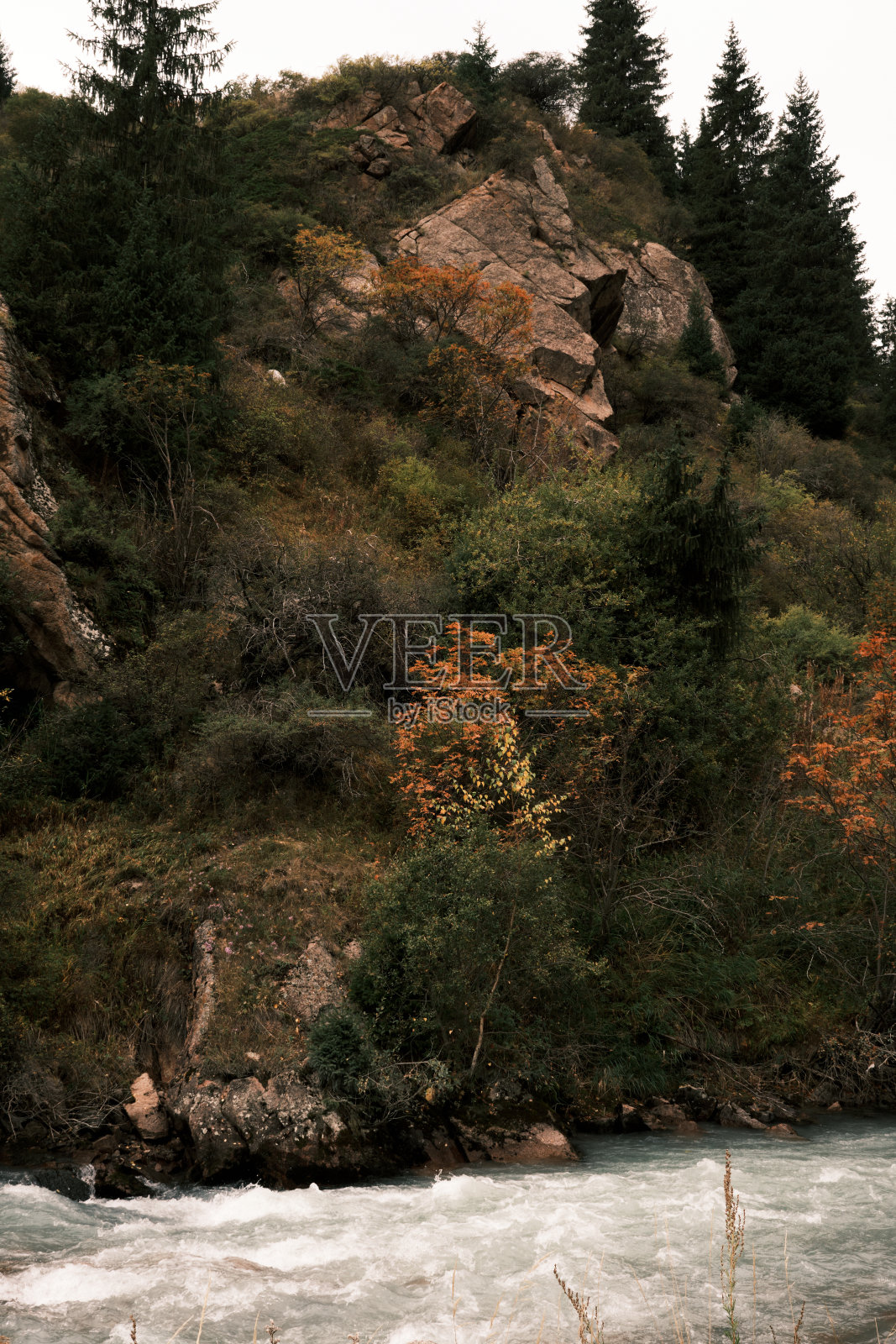 河流在被森林覆盖的岩石下流淌照片摄影图片