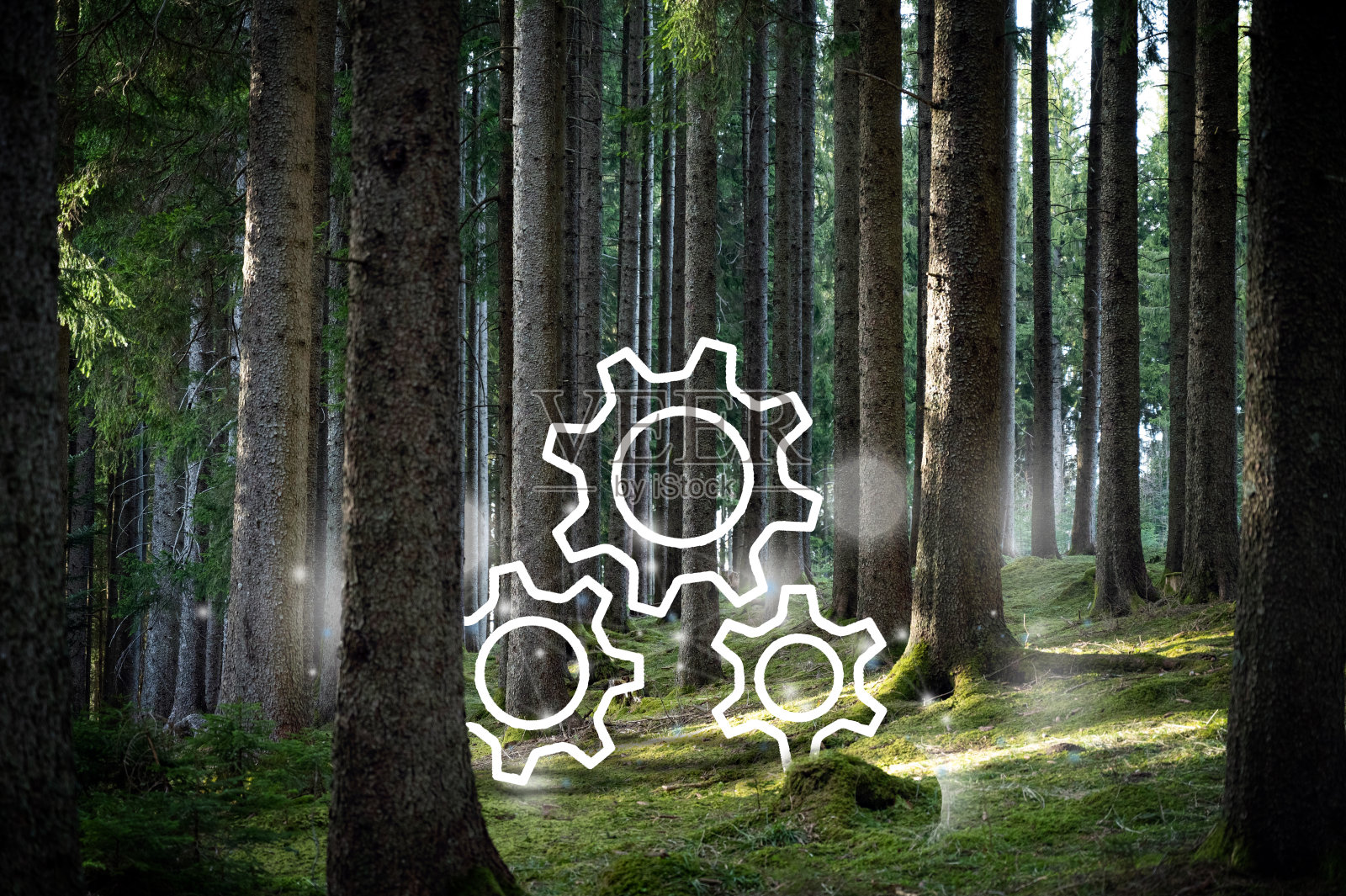 可持续发展,零废弃物,循环经济,绿色产业照片摄影图片