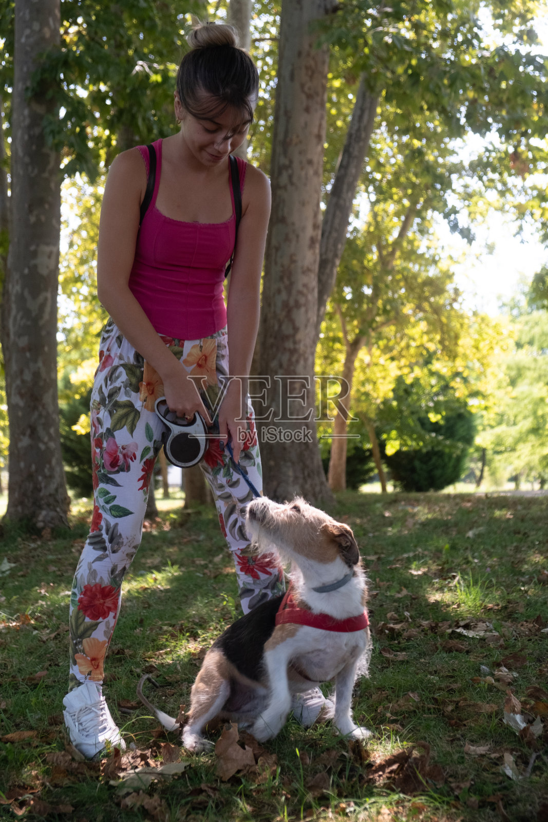 一个年轻的女人在公园里和她的小猎犬一起玩耍和散步照片摄影图片