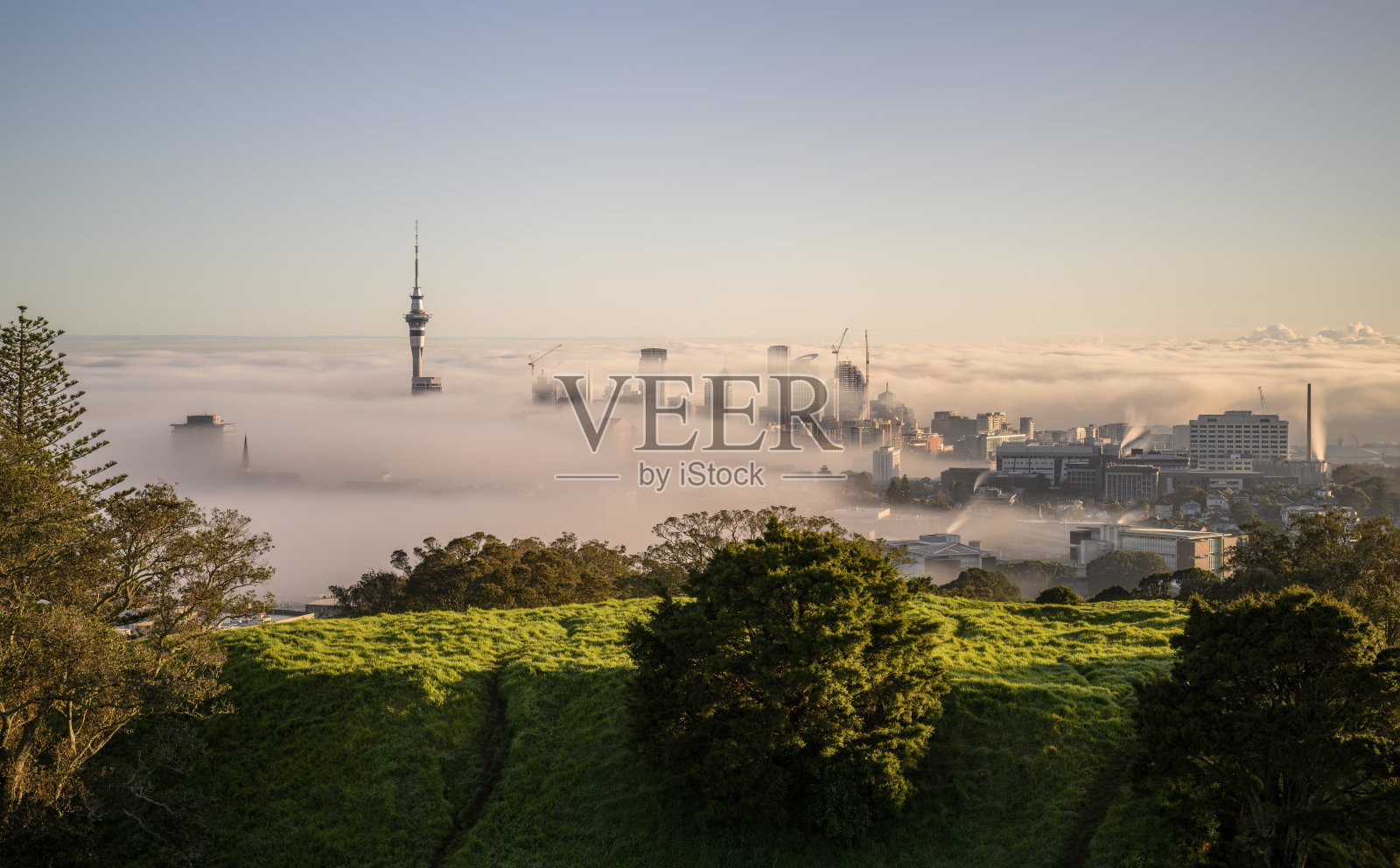 雾海之上的奥克兰天际线和摩天塔。从伊甸山顶俯瞰,火山口在前景。奥克兰。照片摄影图片