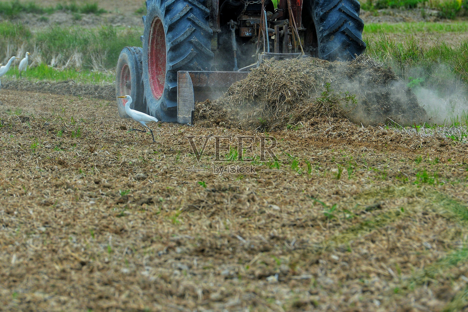 物体和户外照片摄影图片