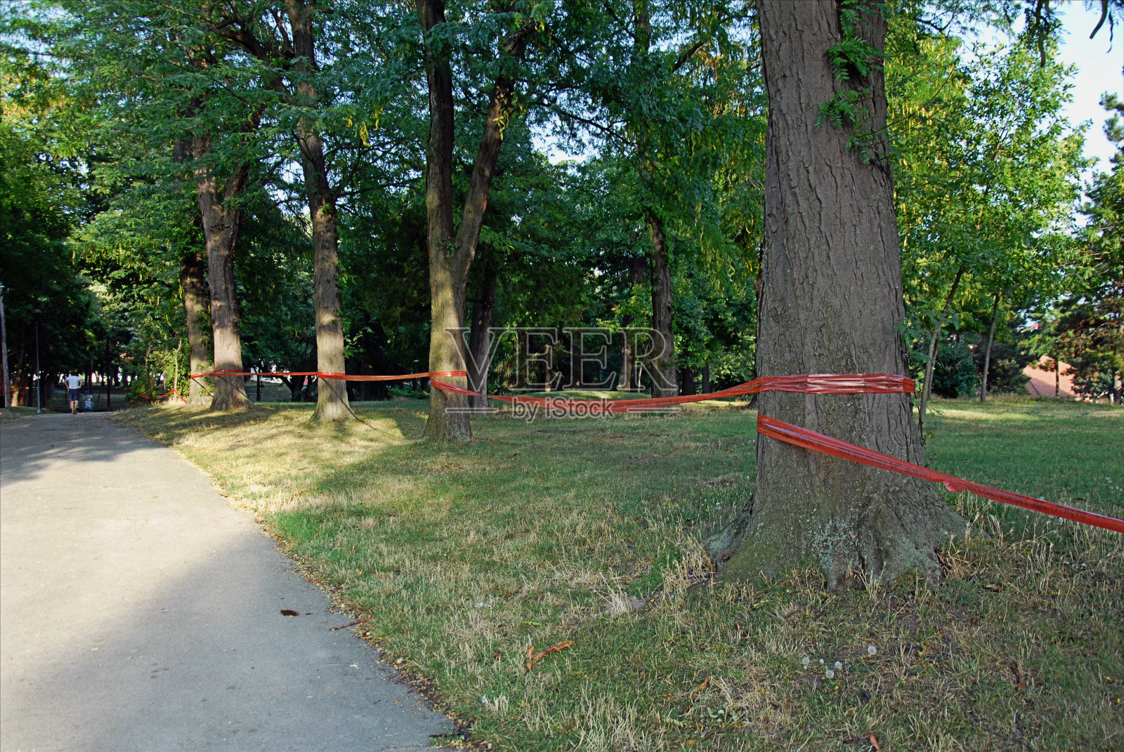 在公园内用路障胶带标出的区域照片摄影图片