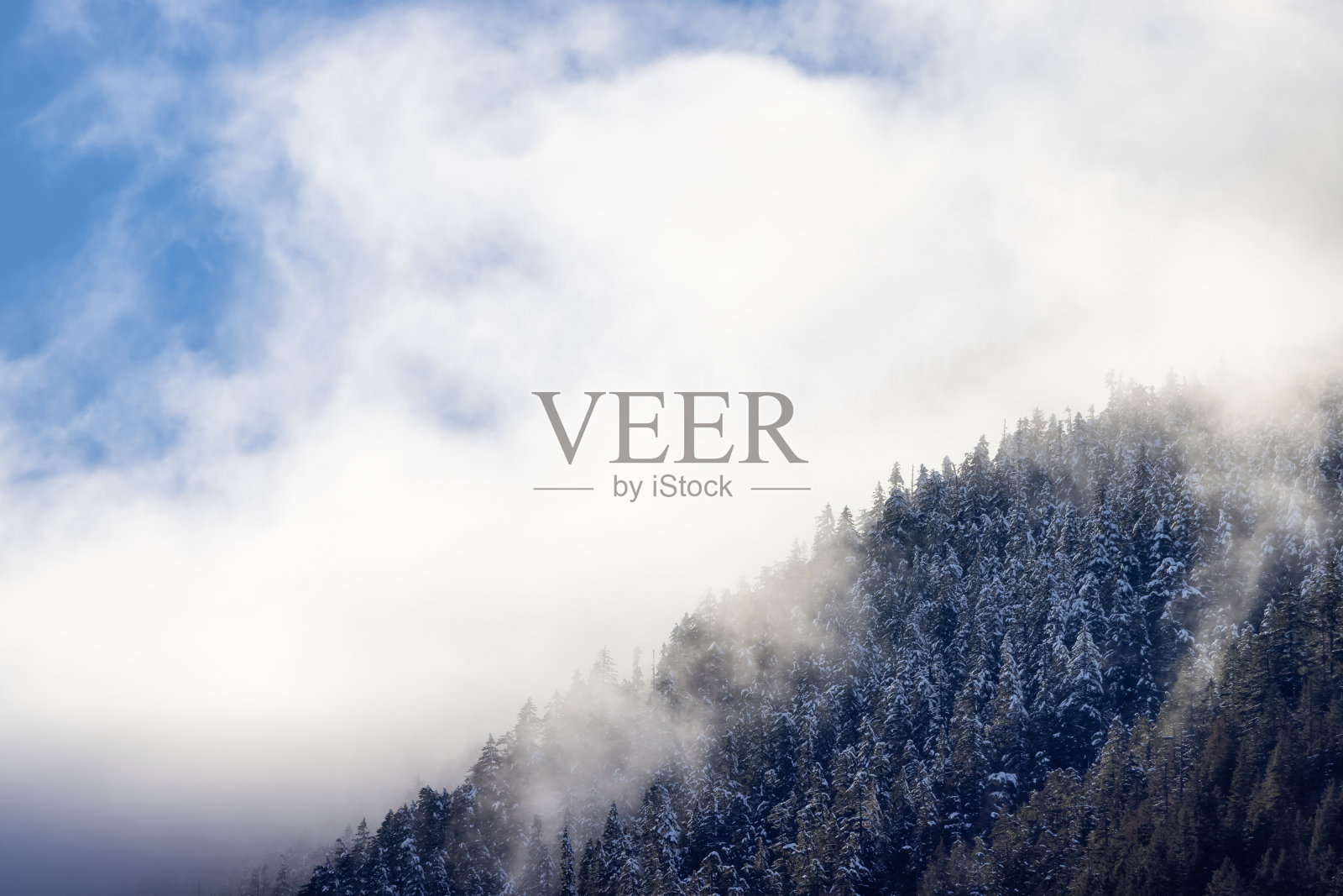 白雪覆盖的加拿大自然风光背景照片摄影图片