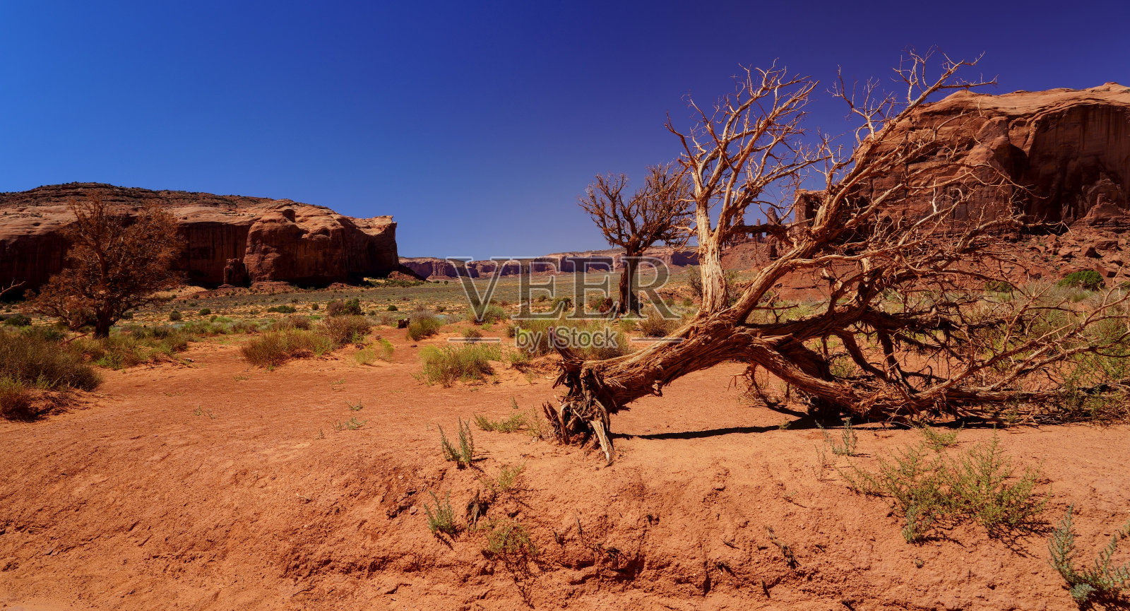 纪念碑谷公园,美国亚利桑那州照片摄影图片