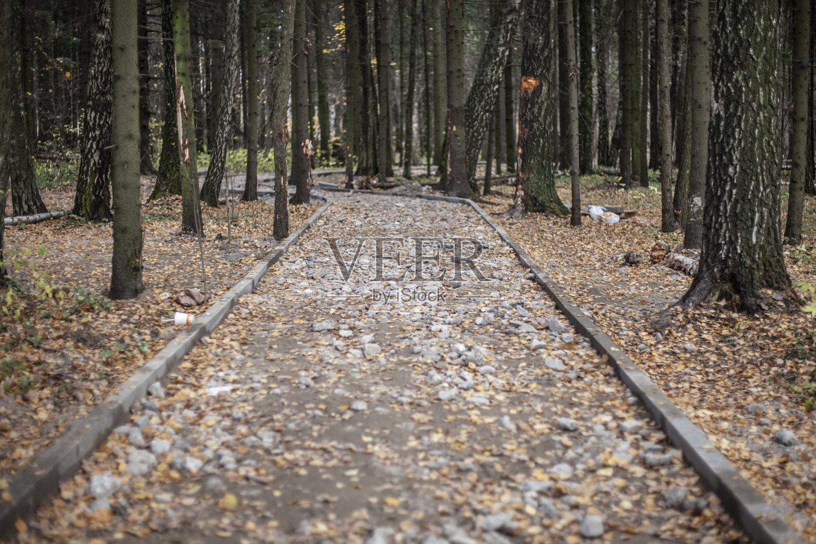 在公园修路。公园基础设施建设。照片摄影图片