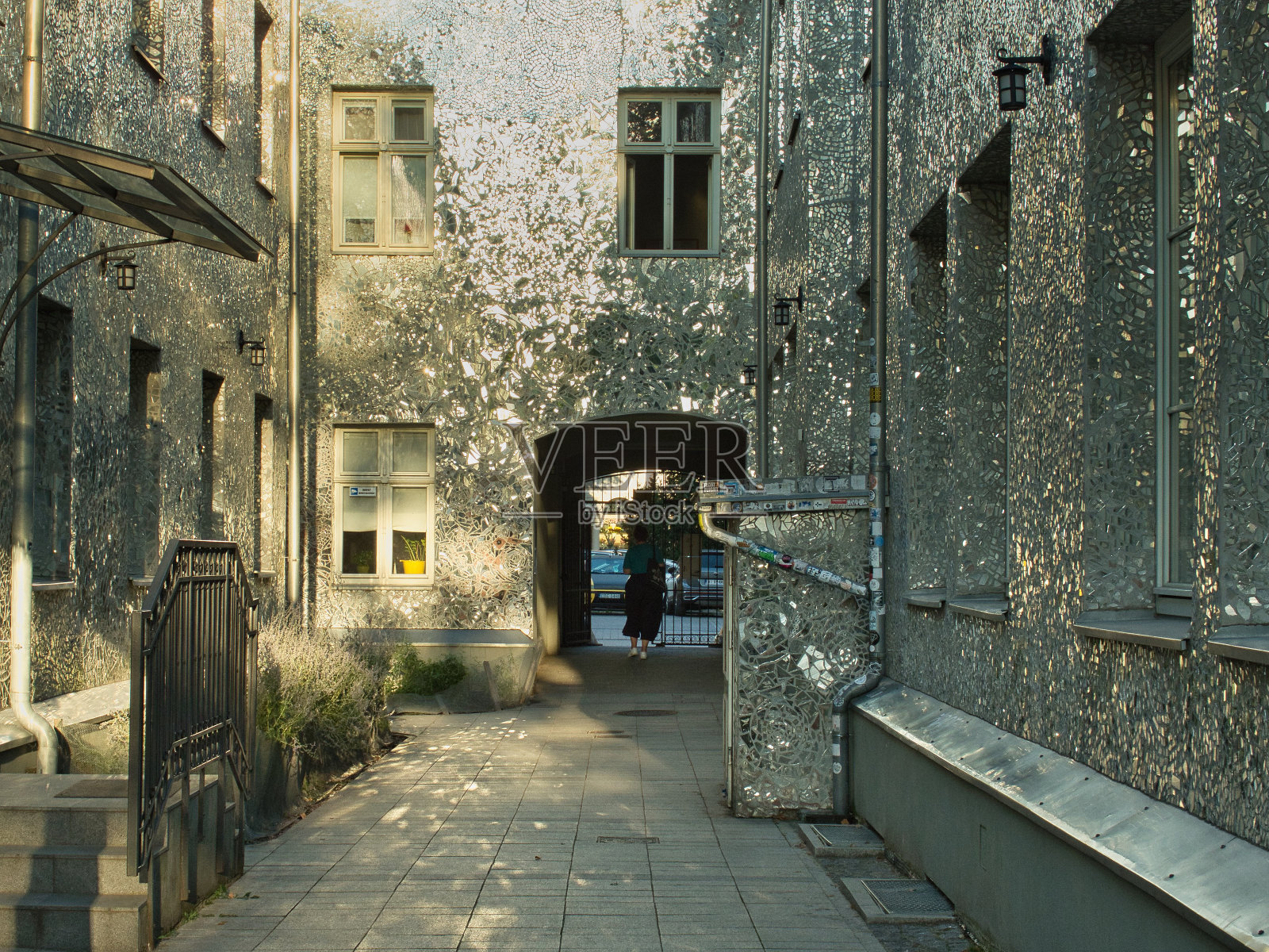 玫瑰之旅。照片摄影图片