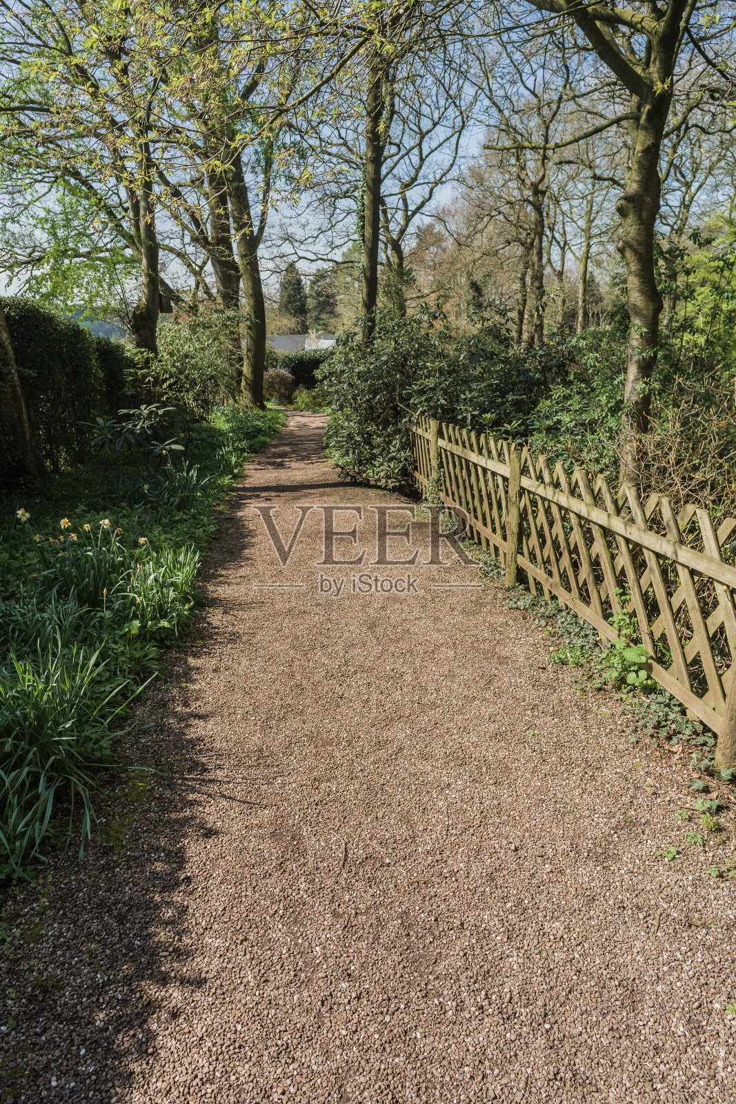 什罗普郡林地景观与路径,树木和灌木照片摄影图片