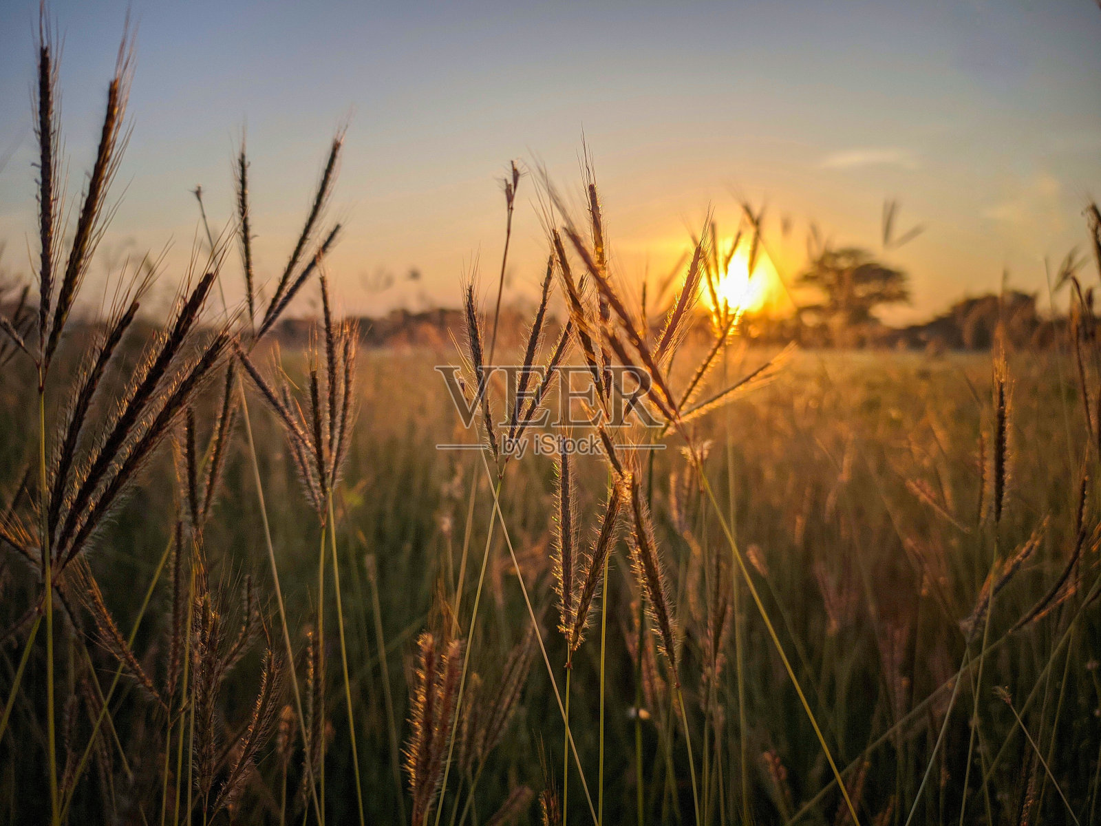 美丽的日出照片摄影图片