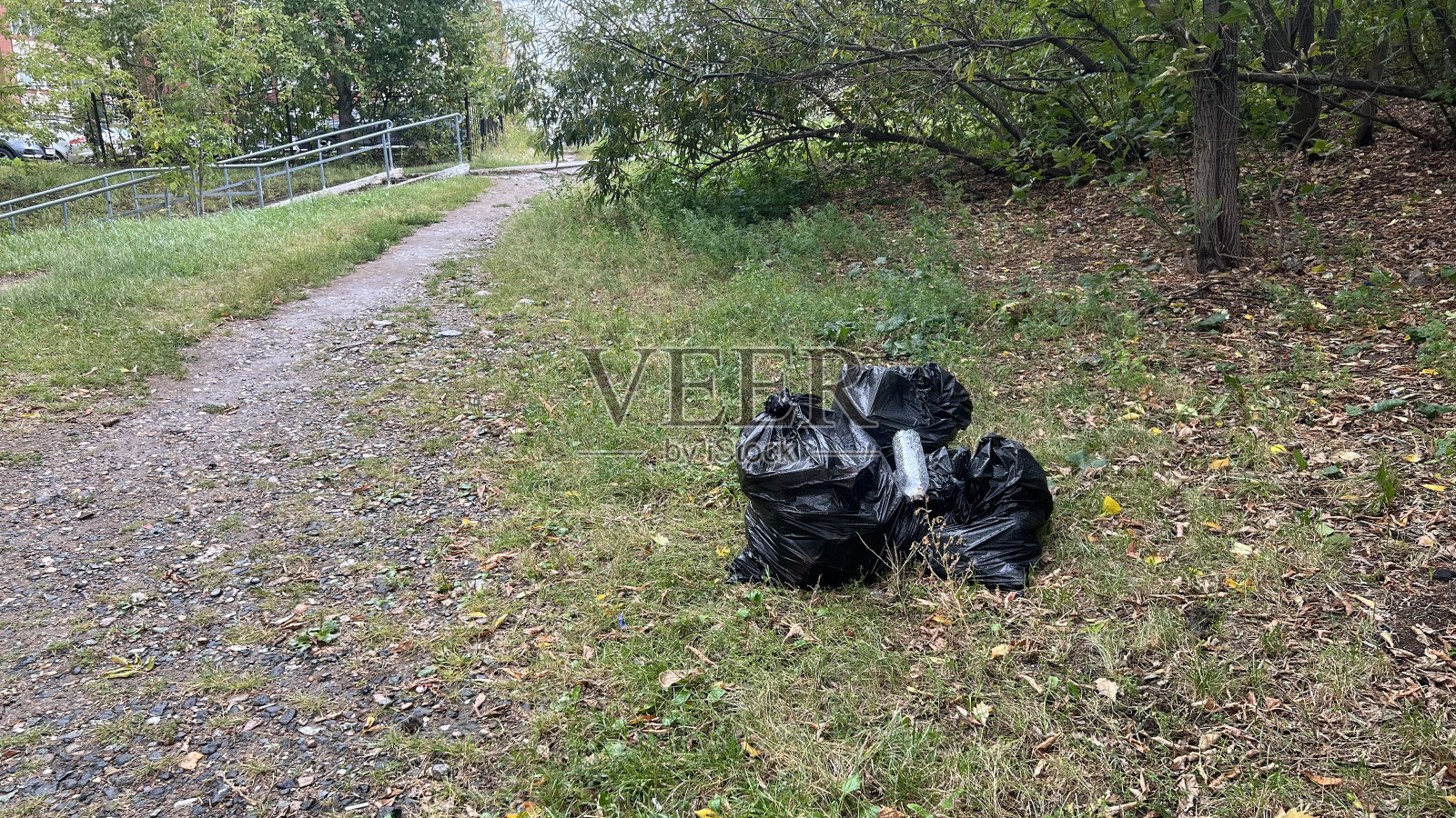 草坪上的垃圾袋照片摄影图片