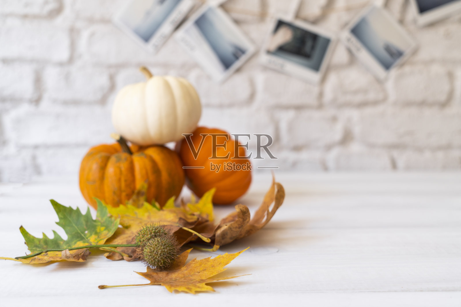 感恩节的背景。用南瓜和落叶在白色墙壁上的模型,带有复制空间。照片摄影图片