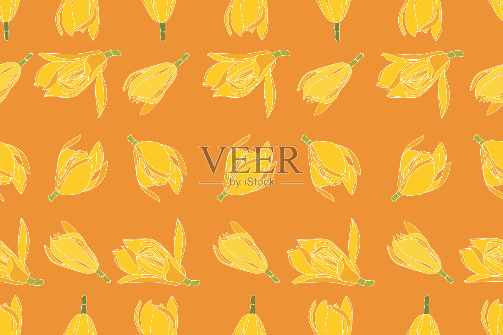 橙色背景上盛开的黄色Champaka花的插图插画图片素材