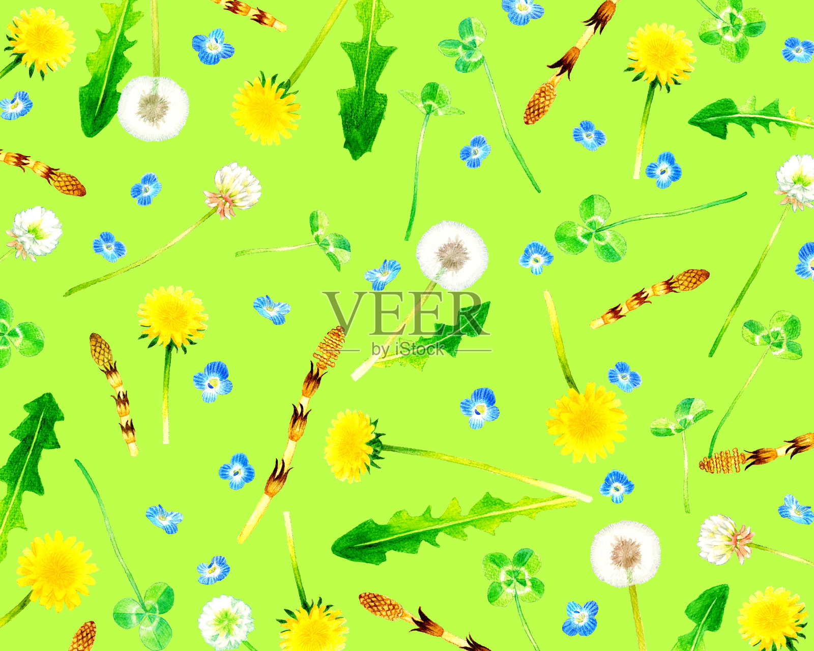 春天杂草背景剪贴画。水彩铅笔手绘的杂草和花朵插图。插画图片素材