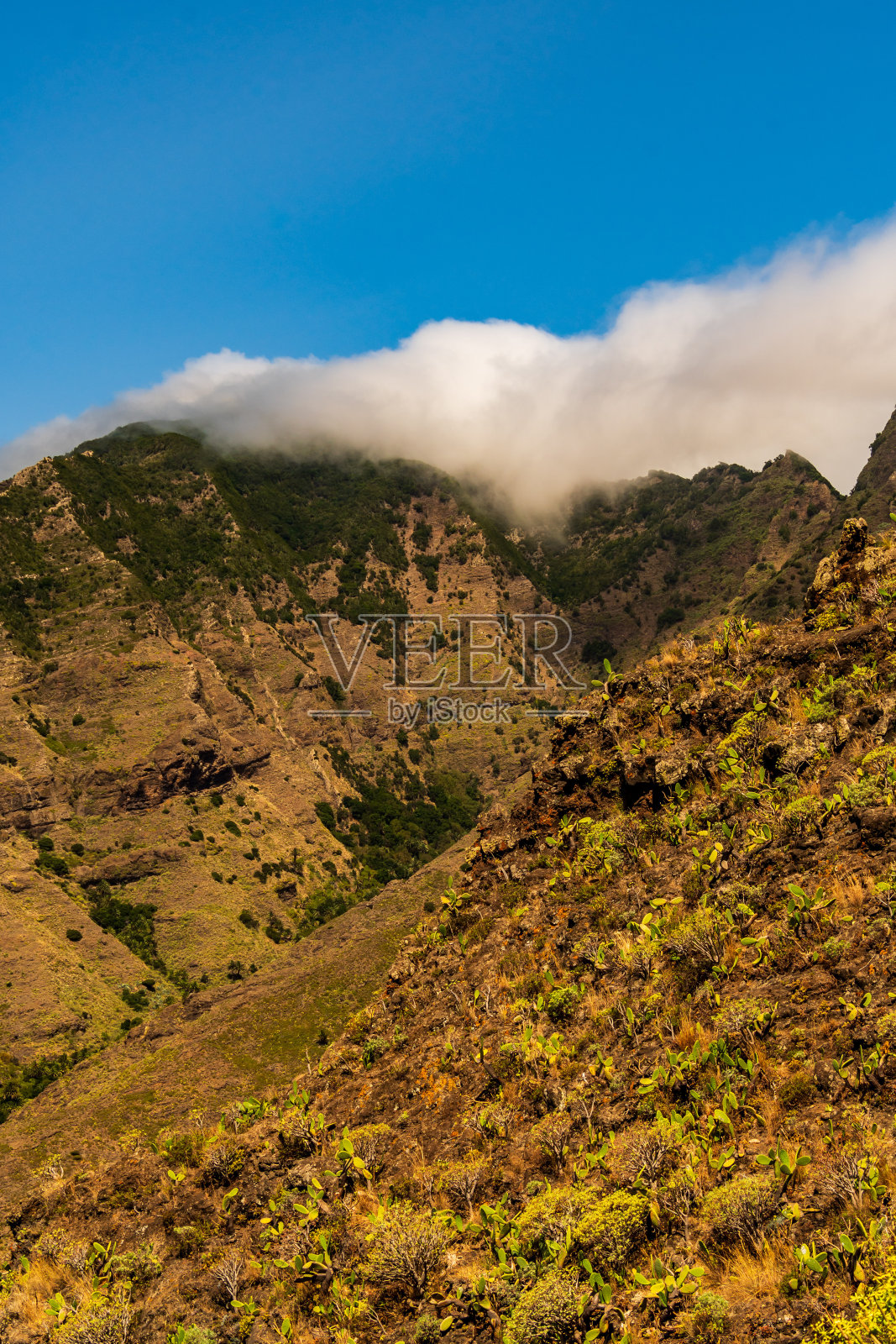 戈梅拉岛的风景。照片摄影图片