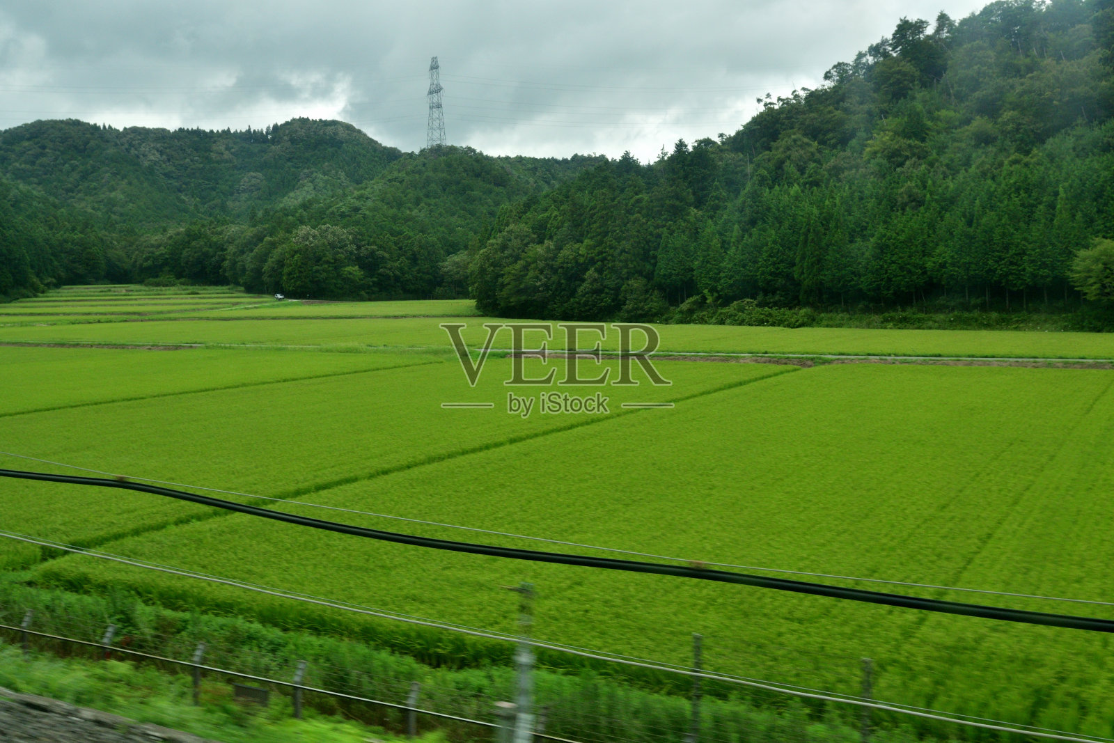 日本乡村景观:从东海道新干线高速列车上观看照片摄影图片