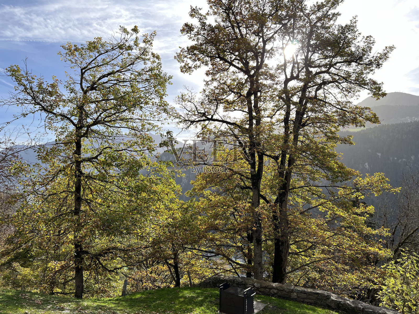 瑞士格兰松州(Kanton graubnden,瑞士),瑞士阿尔卑斯山的高山树木和混合山林的树冠上树叶的神奇秋天色彩。照片摄影图片