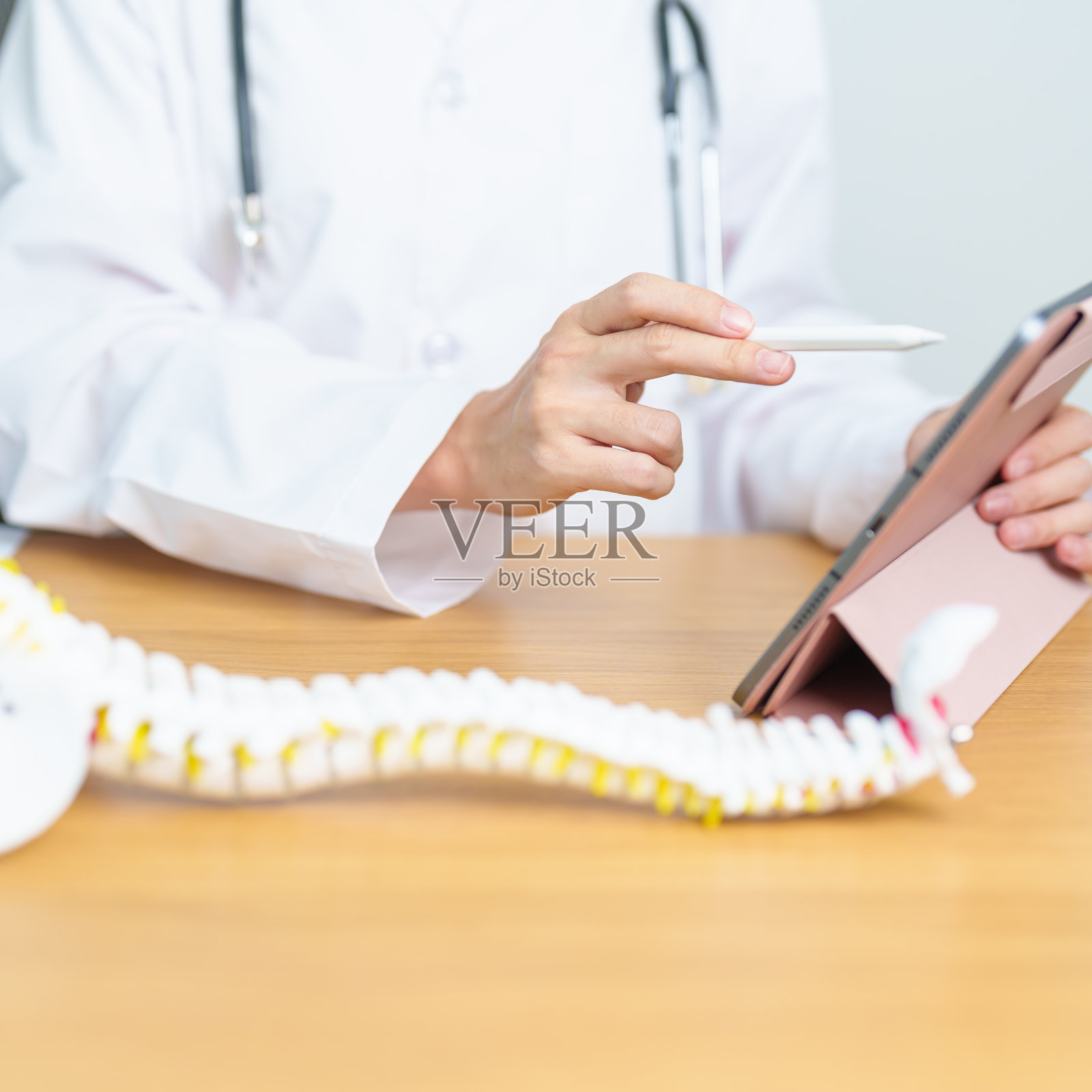 医生与人体脊柱解剖模型。脊髓紊乱和疾病,背痛,腰椎,骶骨骨盆,颈椎,胸椎,尾骨,骨科,脊椎按摩,办公室综合症和健康照片摄影图片