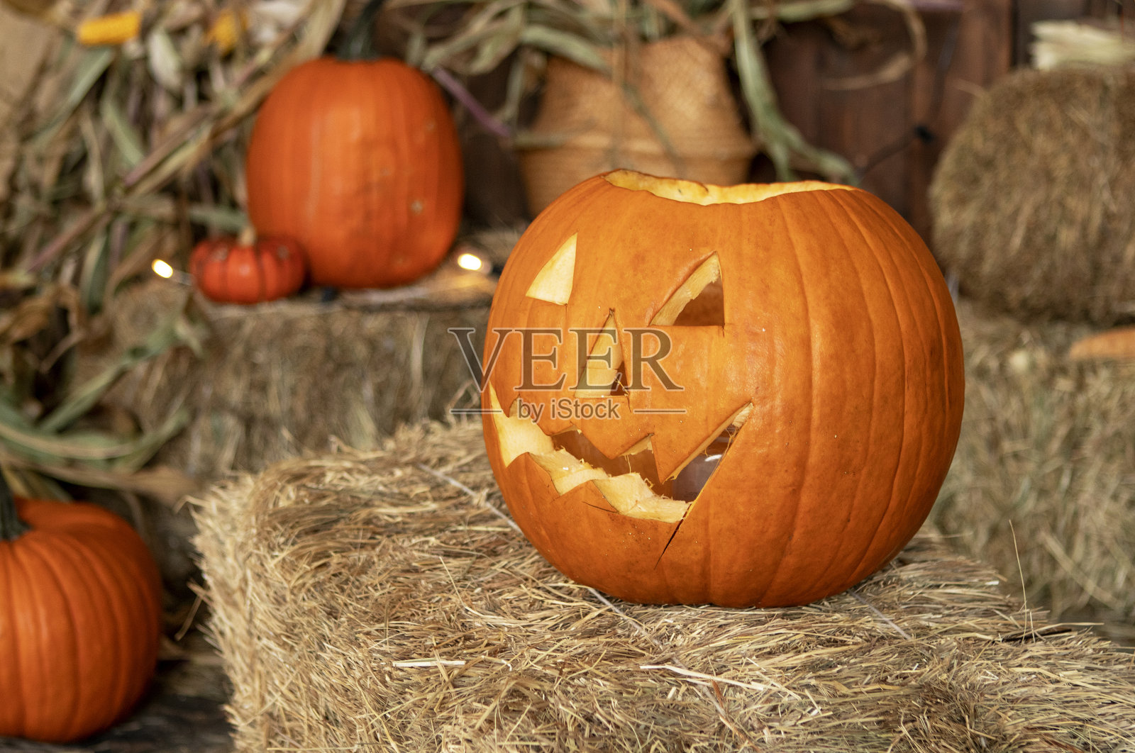 橙色南瓜放在干草上,万圣节的概念照片摄影图片