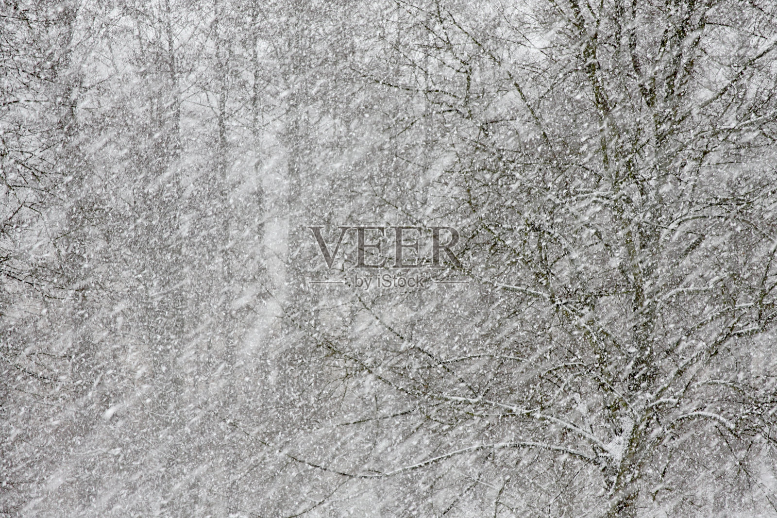 大雪照片摄影图片