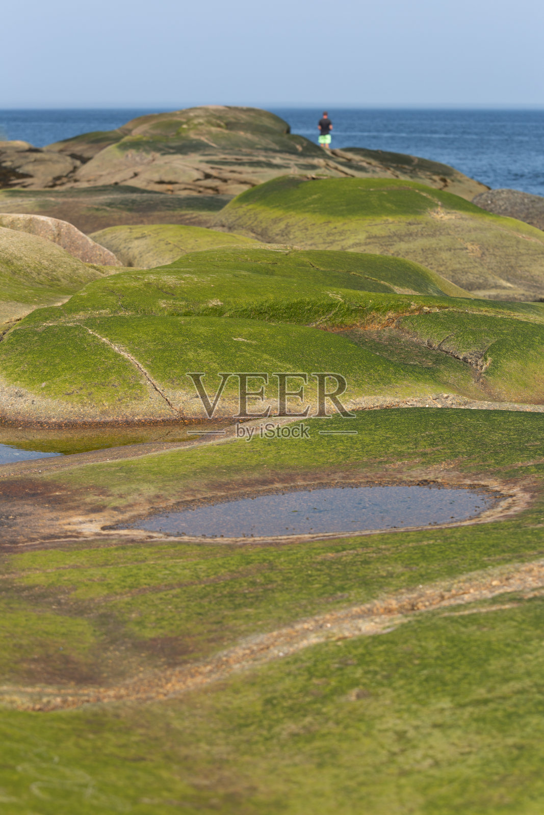 魁北克北部的夏季景观照片摄影图片