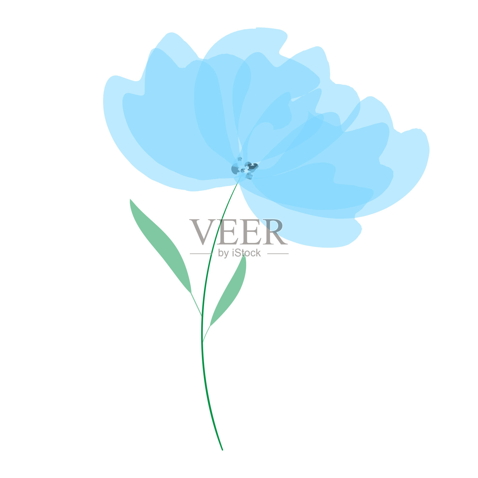 美丽的蓝色大花。插画图片素材