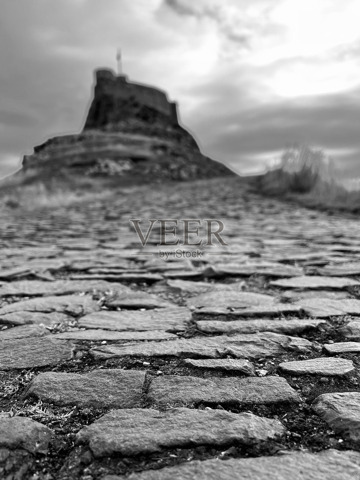 诺森伯兰郡圣岛的一条鹅卵石小径照片摄影图片