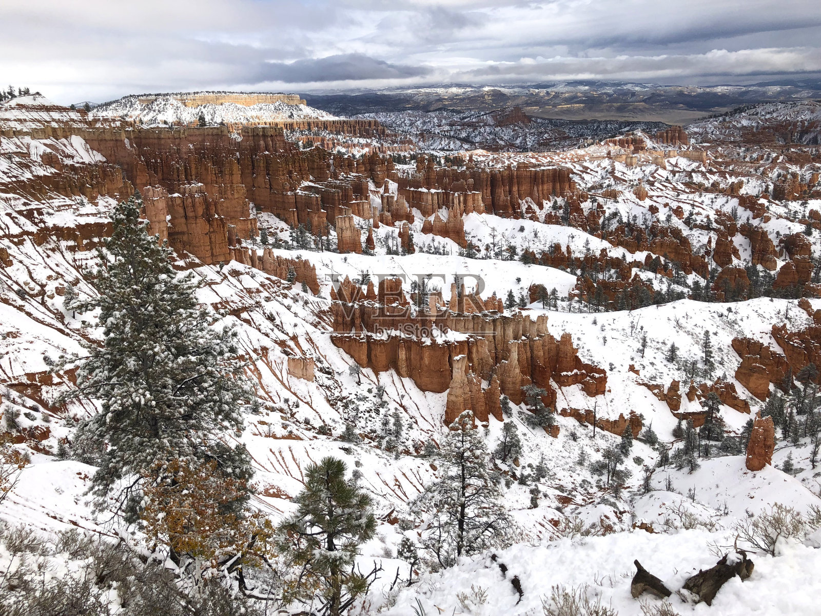 白雪皑皑的布莱斯峡谷照片摄影图片
