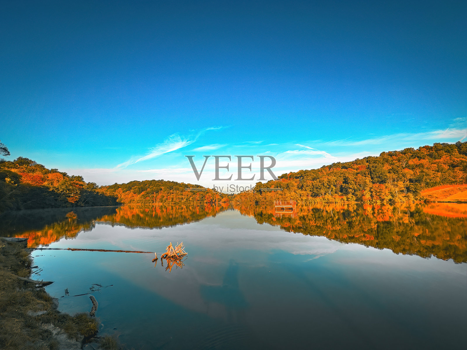 观鸟远足照片摄影图片