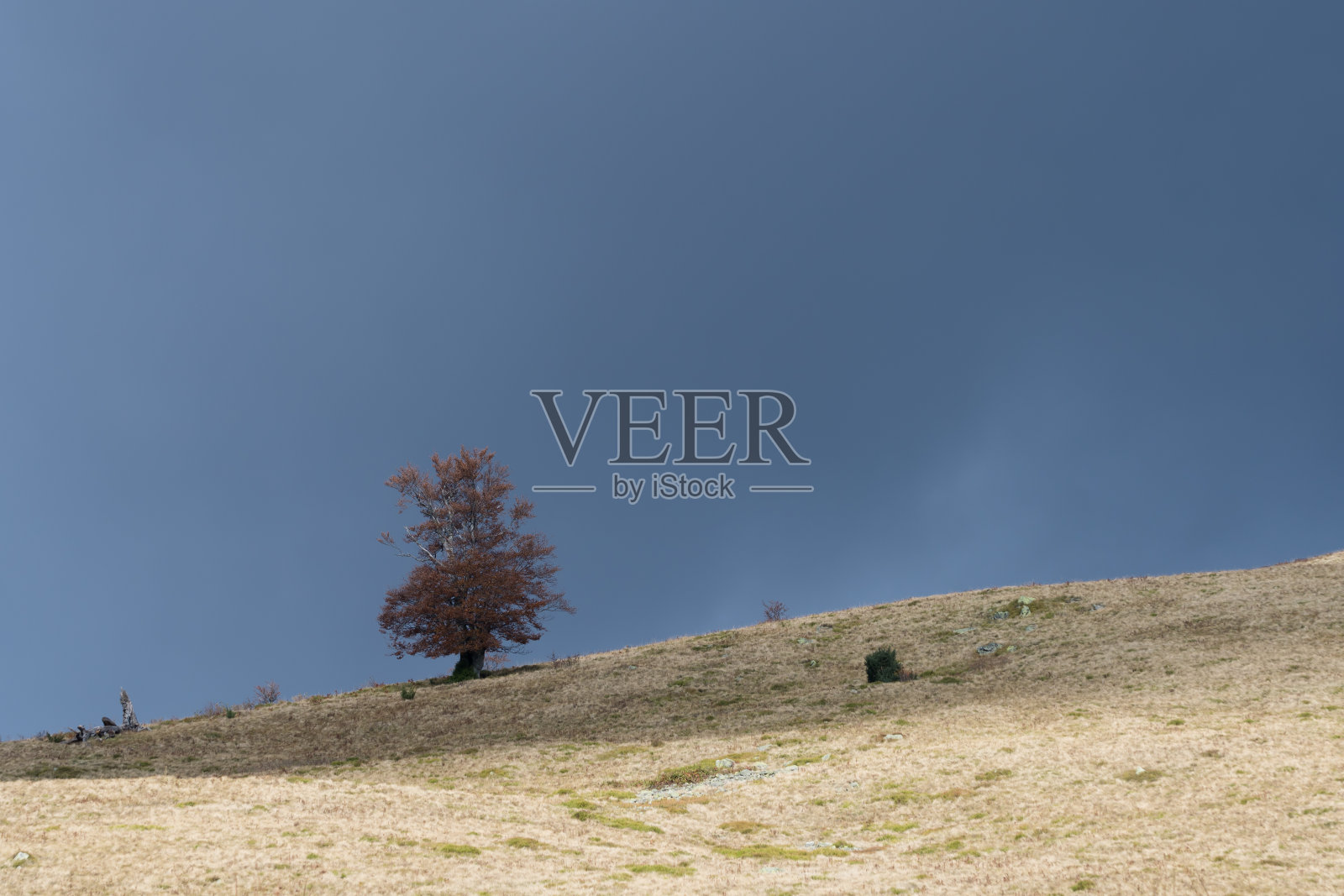 喀尔巴阡山脉照片摄影图片