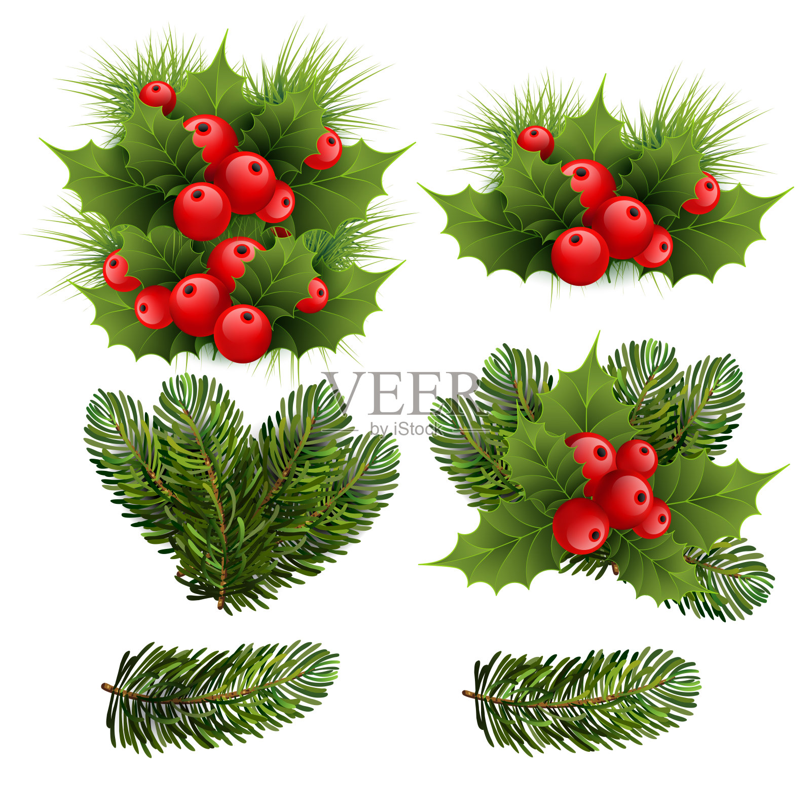 圣诞树的树枝,细枝,浆果,冬青为圣诞节和新年冬季设计,矢量插画图片素材