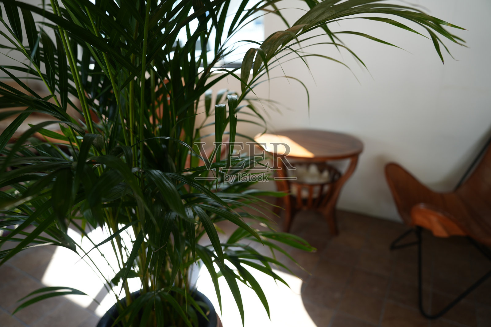 室内咖啡厅照片摄影图片