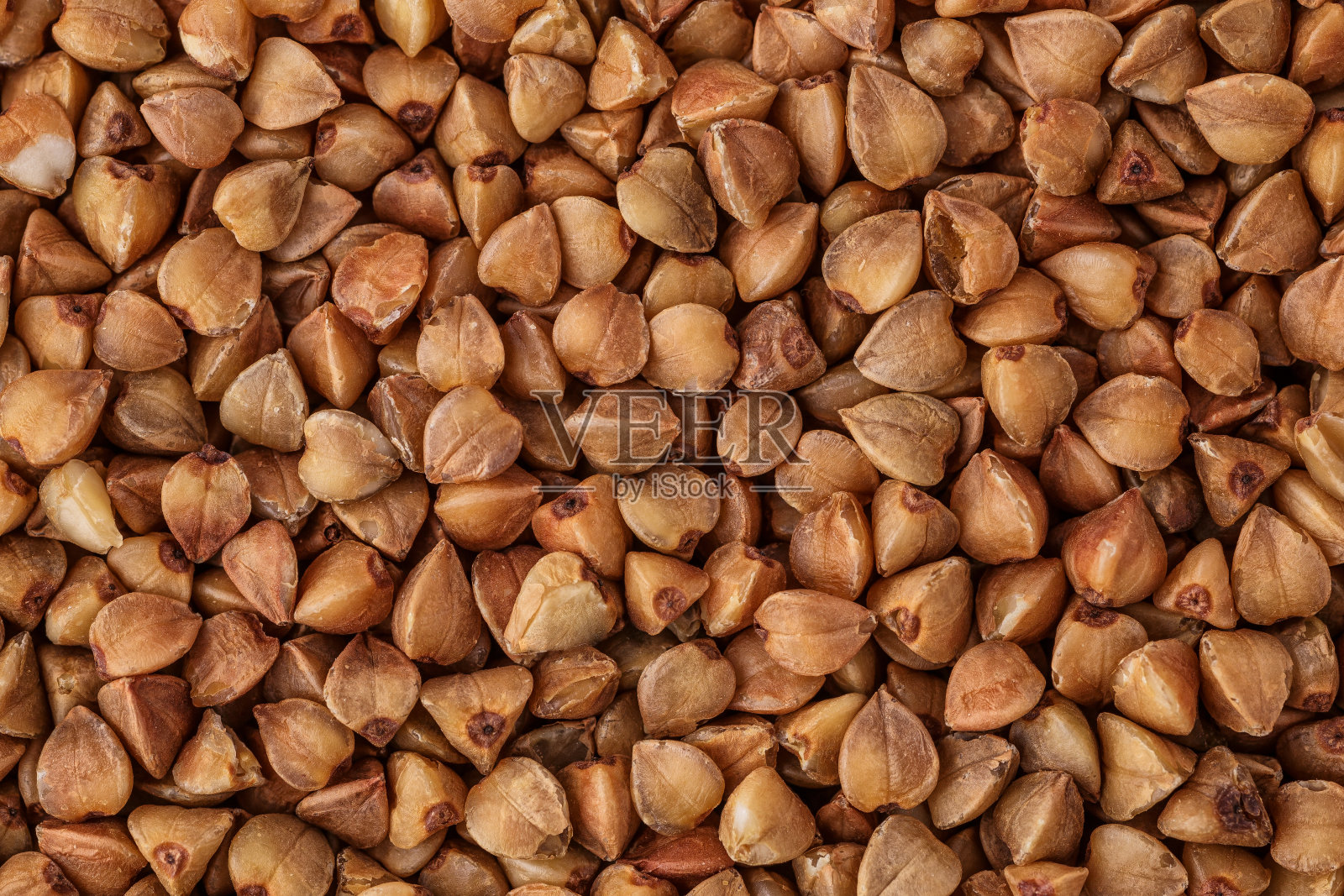 特写荞麦背景,荞麦。新鲜的荞麦。照片摄影图片