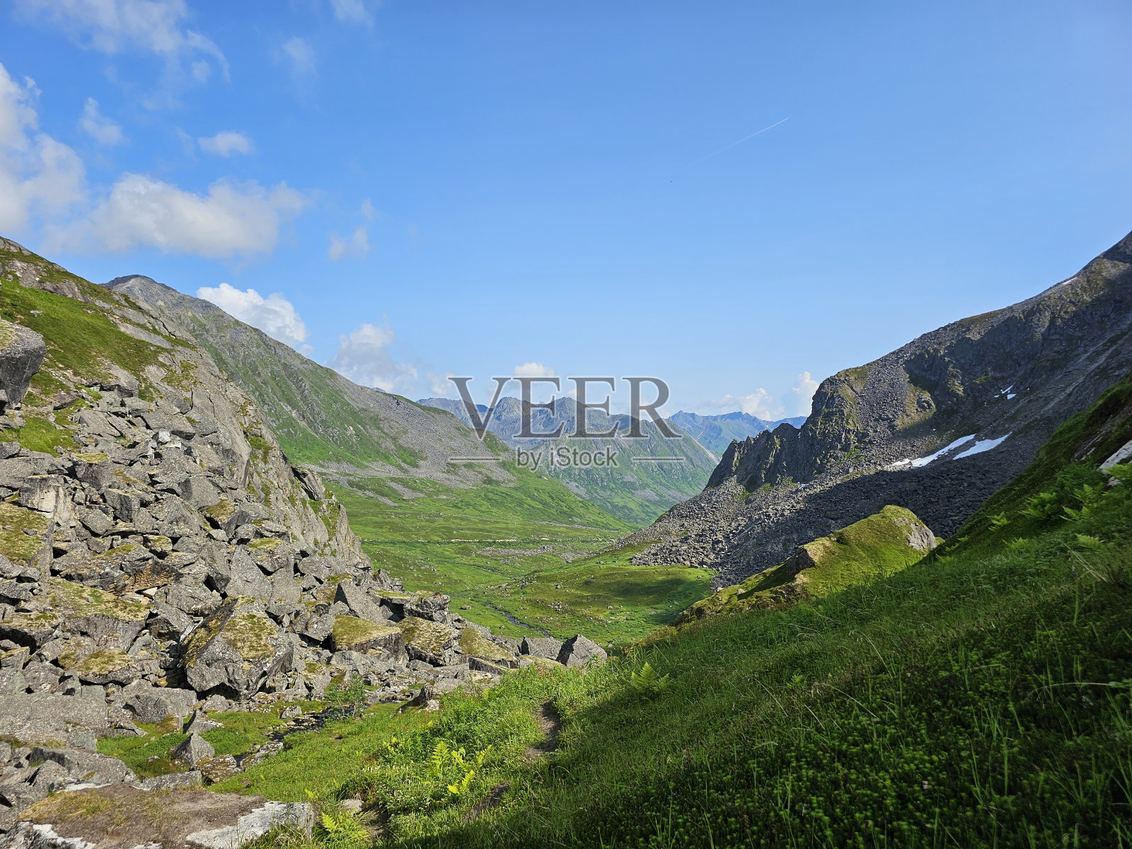 夏天来了照片摄影图片