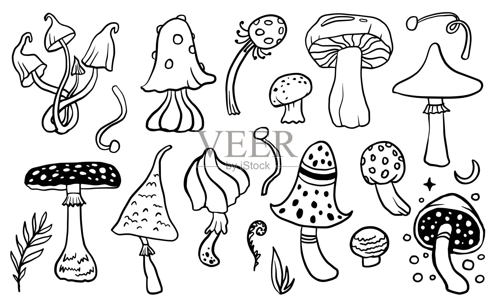 蘑菇线设定。矢量可爱的神奇蘑菇插图孤立在白色背景上的书,市场,餐厅菜单,包装设计。插画图片素材