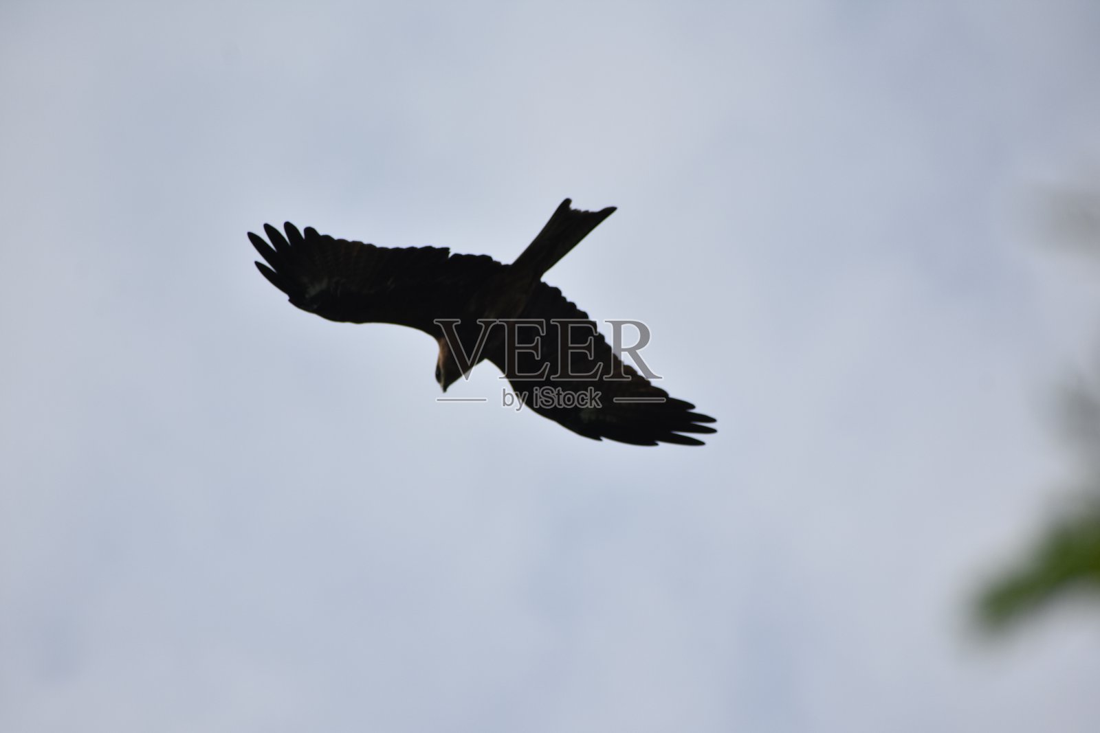 锡尔普尔湖,印度中央邦照片摄影图片