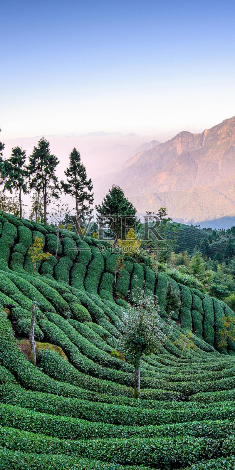 美丽的景观照片摄影图片