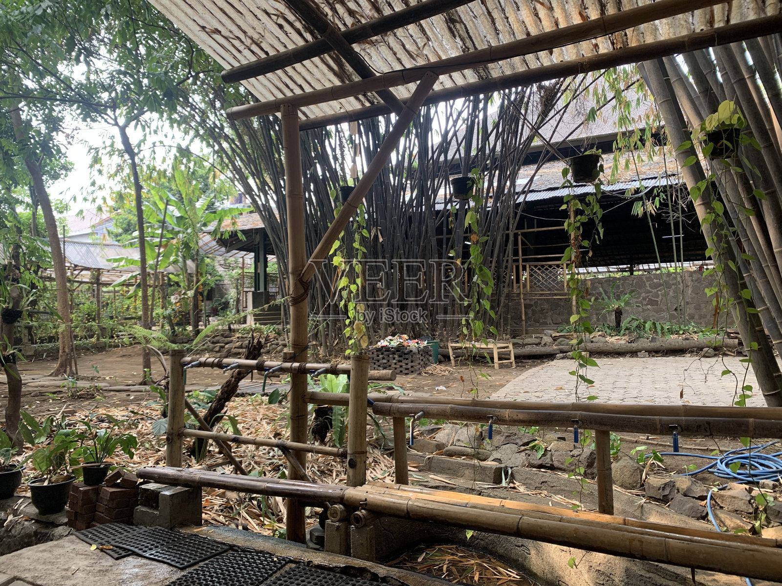 安格隆回家照片摄影图片