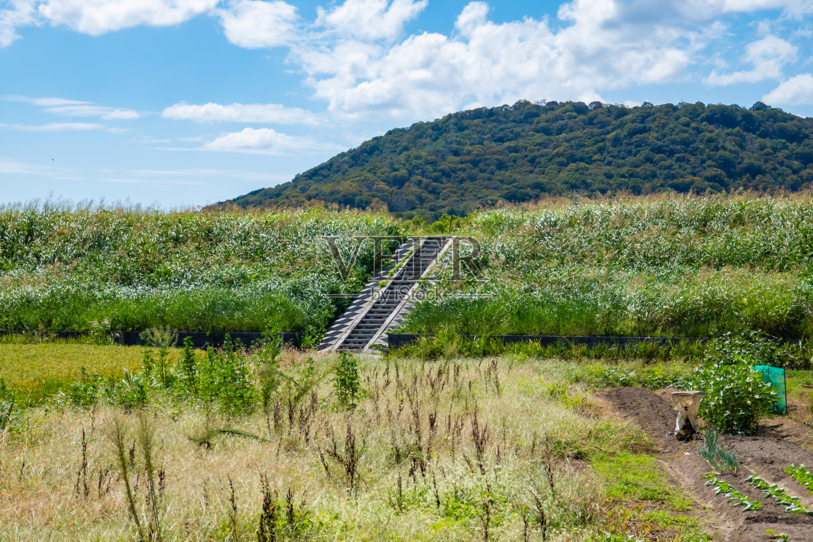 美丽的乡村风光照片摄影图片