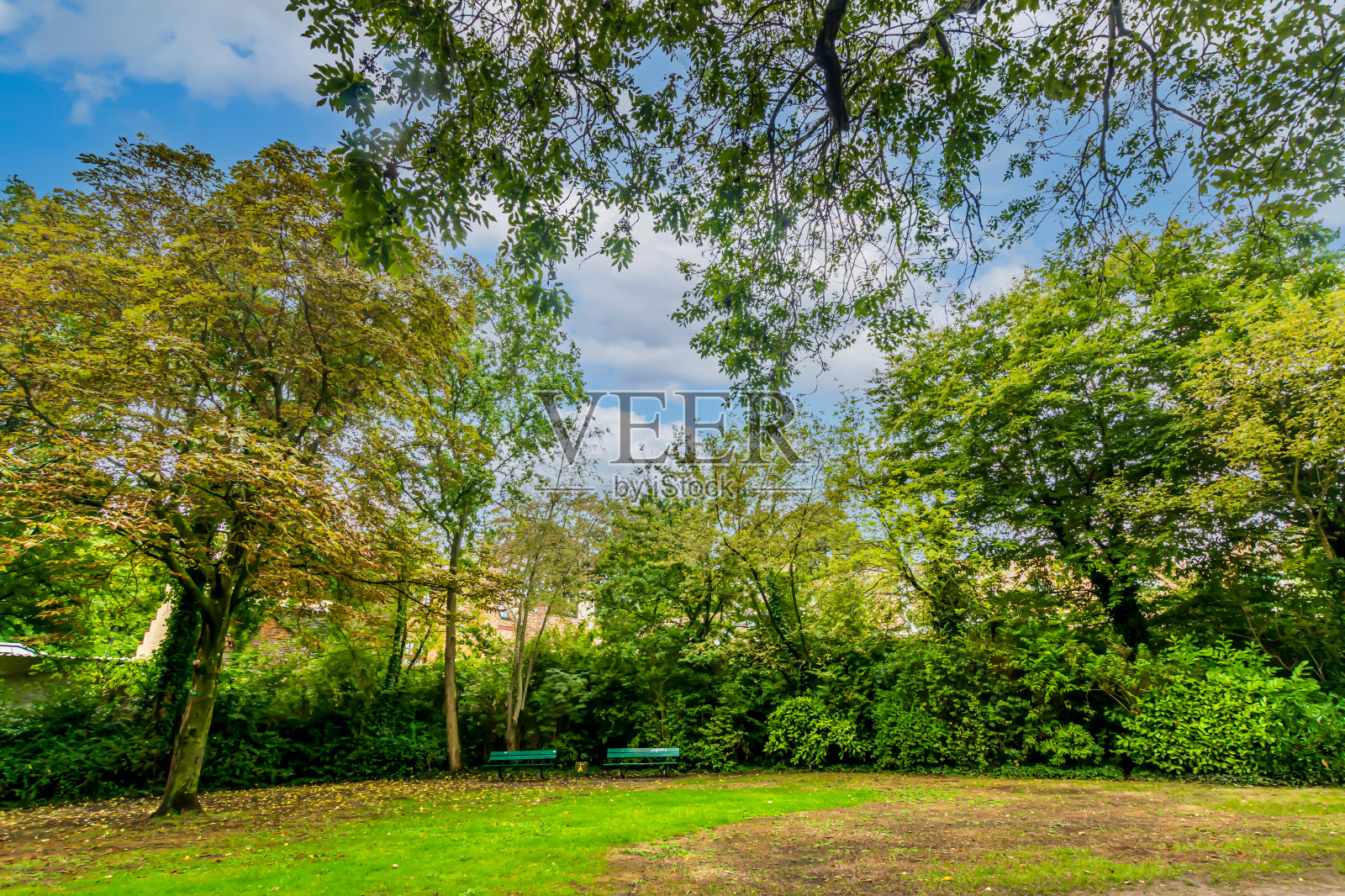 美丽的大自然照片摄影图片