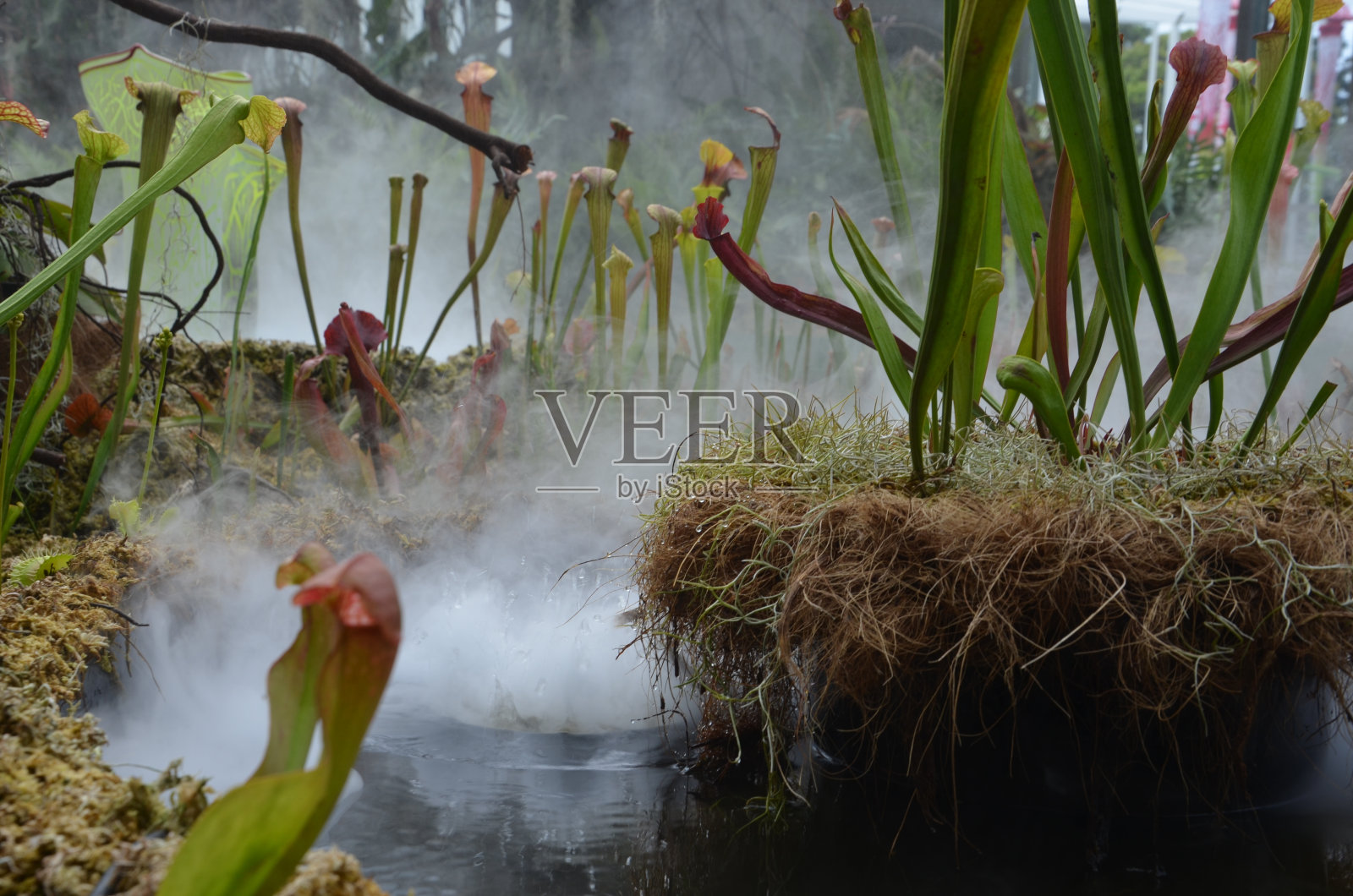 水面上的烟雾照片摄影图片