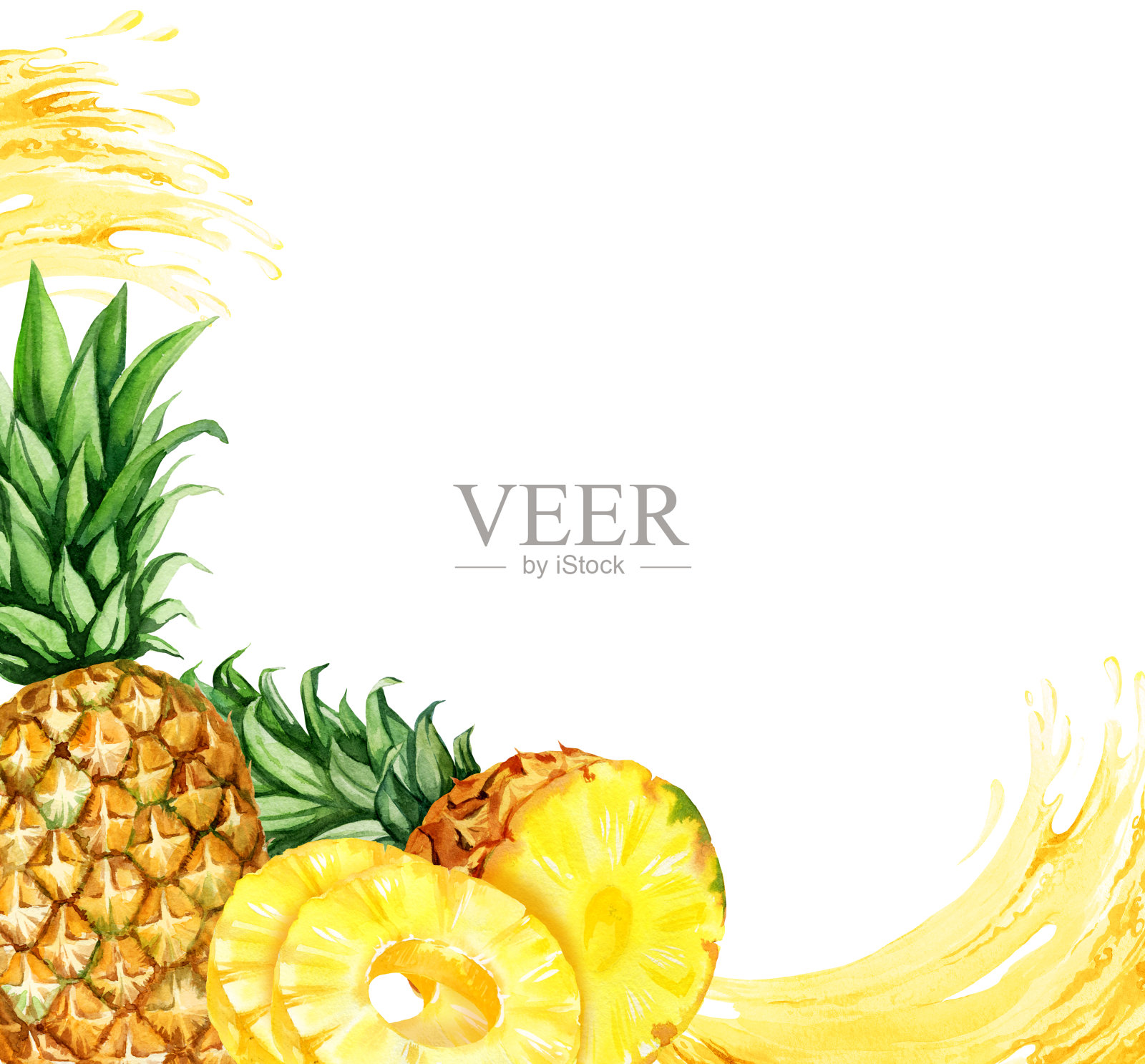 水彩手绘框架与菠萝,半和切片成熟的菠萝,菠萝环和流多汁,素描黄色热带水果,食物插图孤立在白色背景插画图片素材