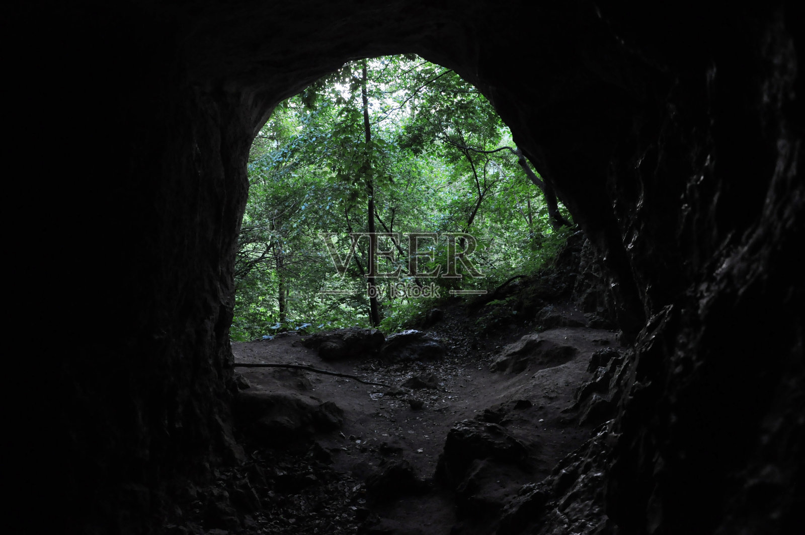 从里面看,森林里隐藏着遥远的洞穴入口照片摄影图片