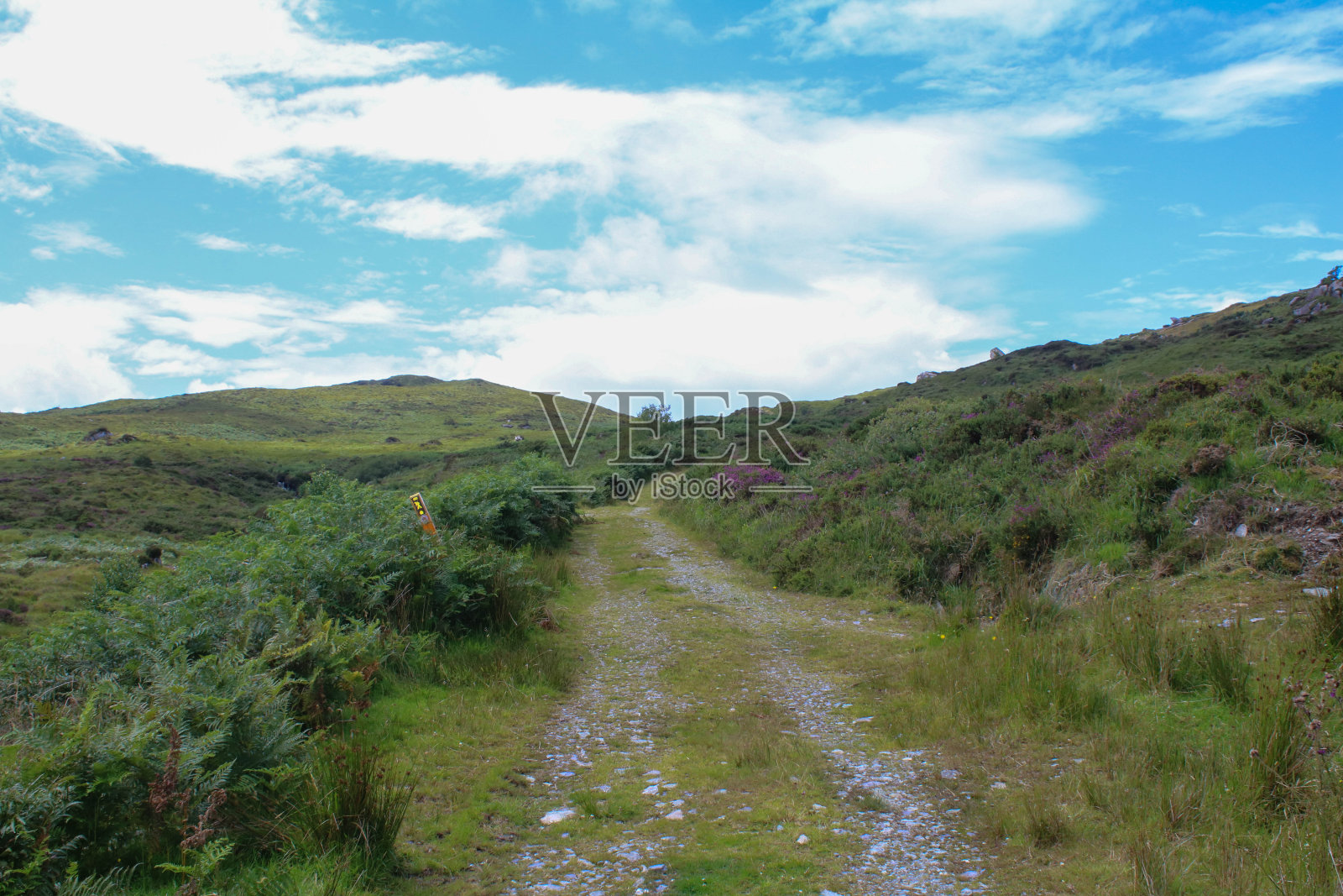 爱尔兰乡村的茂盛乡间小路照片摄影图片